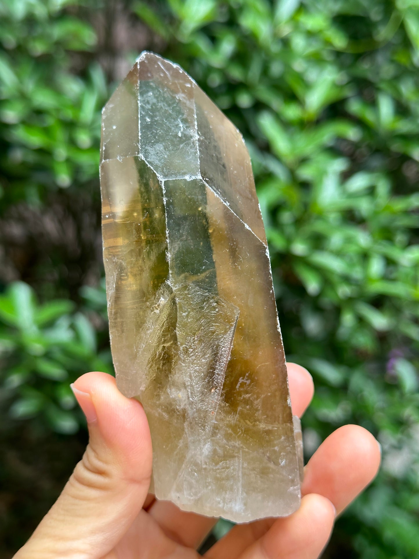 Rare Clear Window Citrine Crystal Time Links Quartz Crystal Energy Healing Meditation-393 g