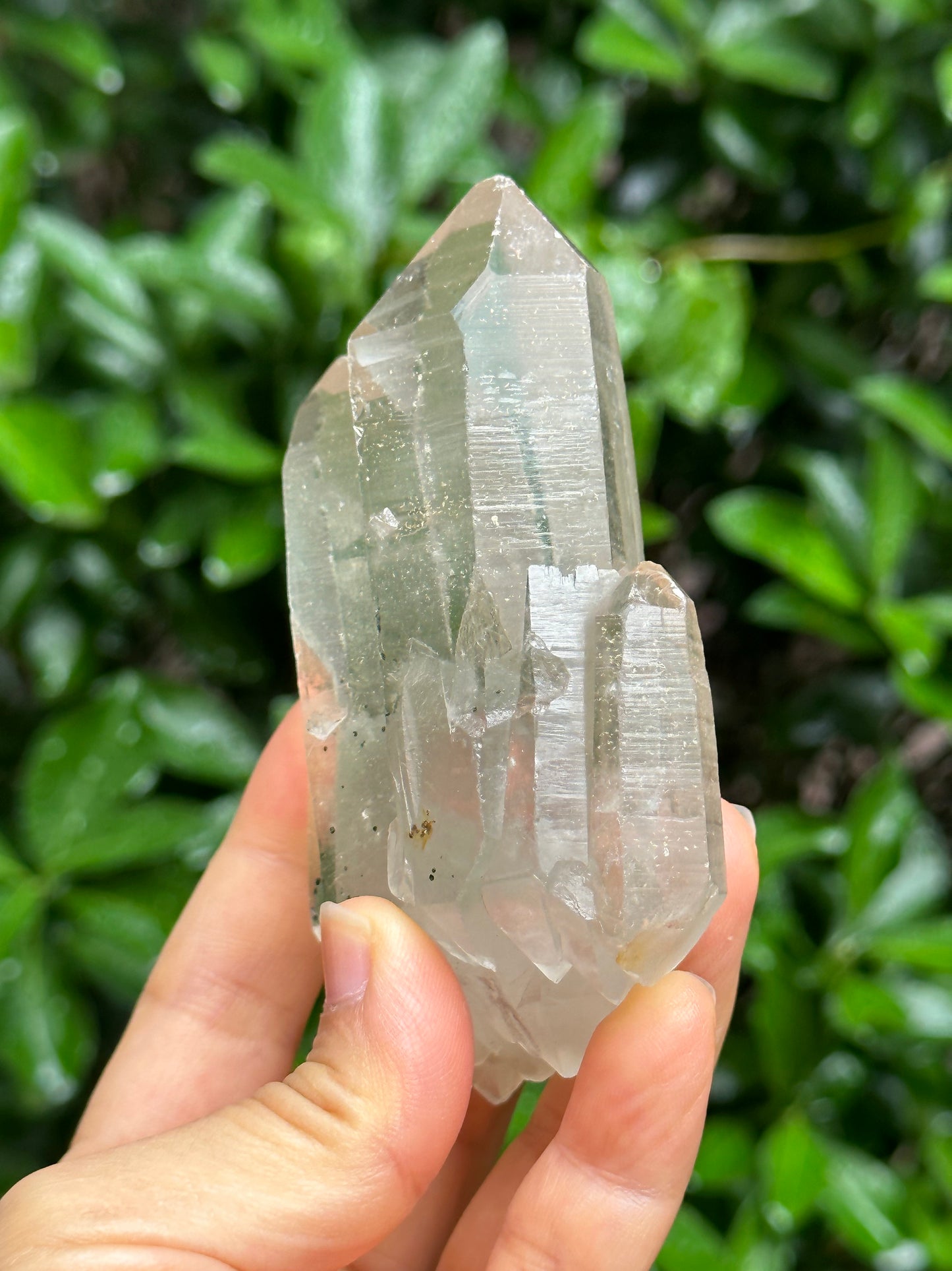 Rare Tabular Multiple Double Terminated Quartz Crystals with Light Green Phantom Included,Chlorite Pyramid Including