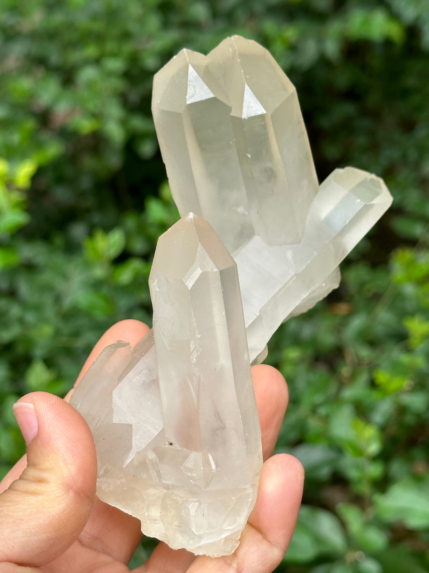 Rare Raw Bridge Quartz Crystal Cluster/Tantric twins+Time Links+Transmitter Quartz/Healing Crystal and Stone-117*46*89 mm 309 g