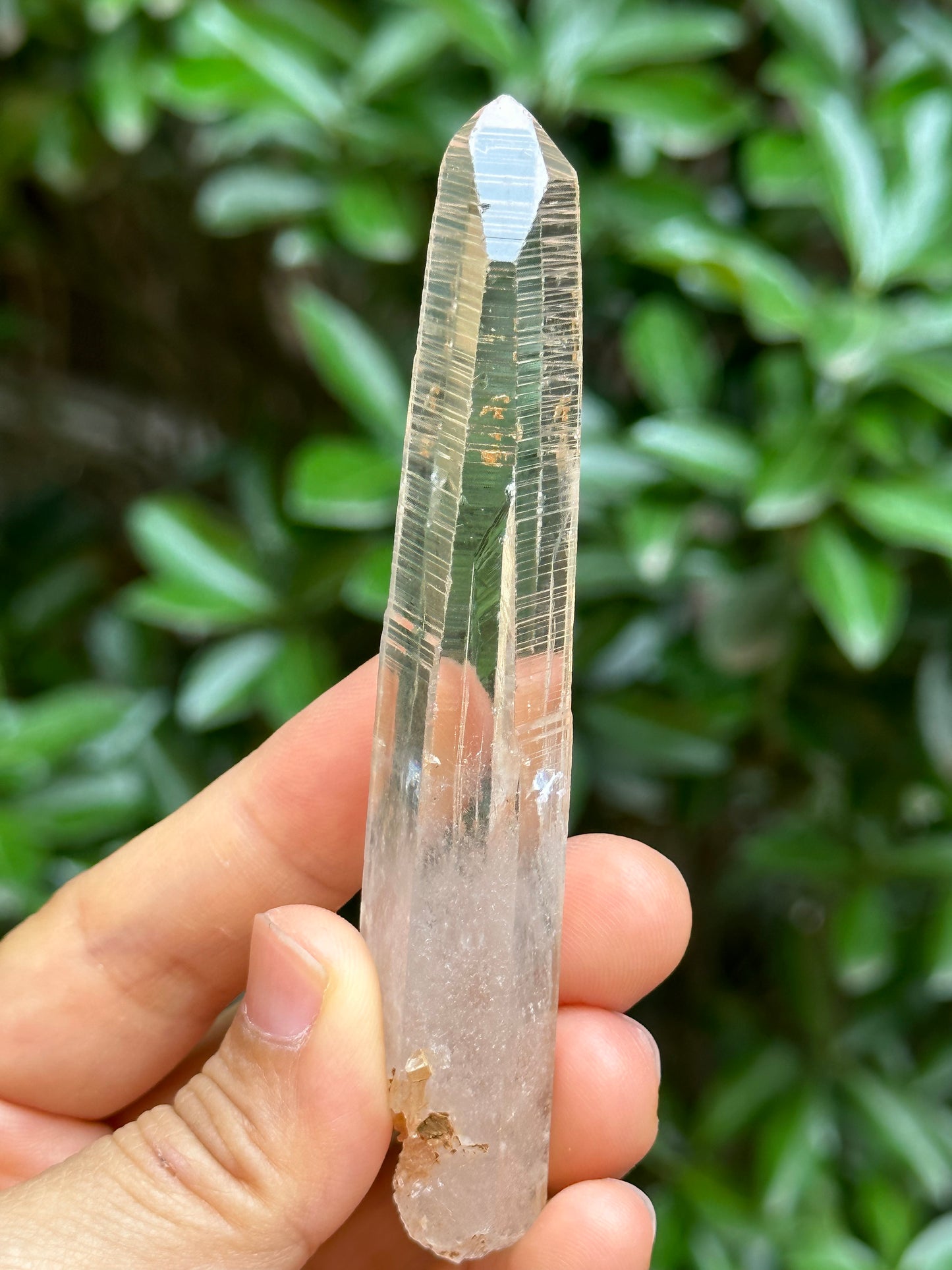 Perfect Clear Himalayan Lemurian Seed Quartz Crystal/Receiver Generator Quartz Crystal-102*19*13 mm  46 g