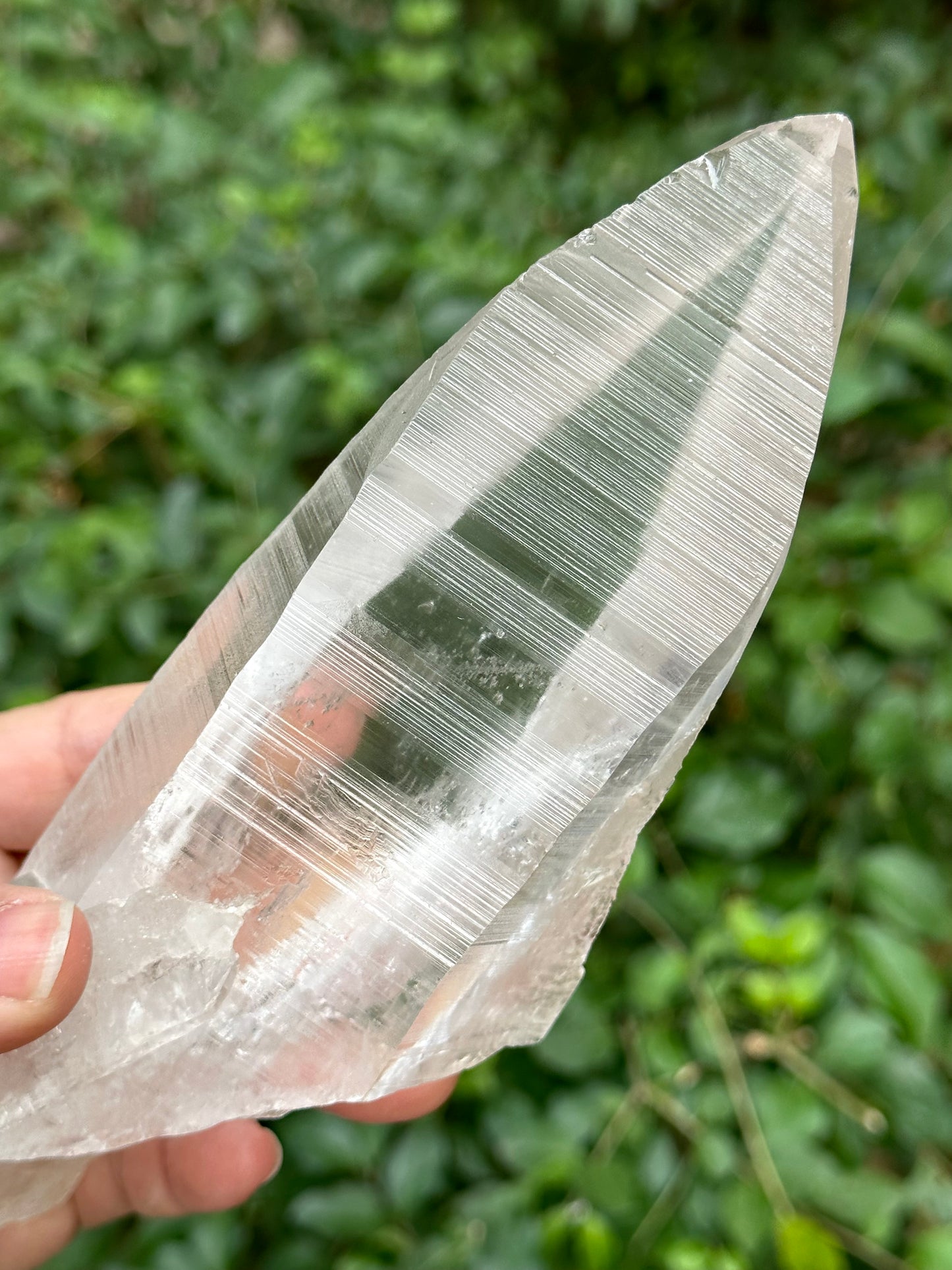 1.2 lbs Long and Clear Columbia Lemurian Seed Muzo Quartz Laser Knife Crystal Point with Striation