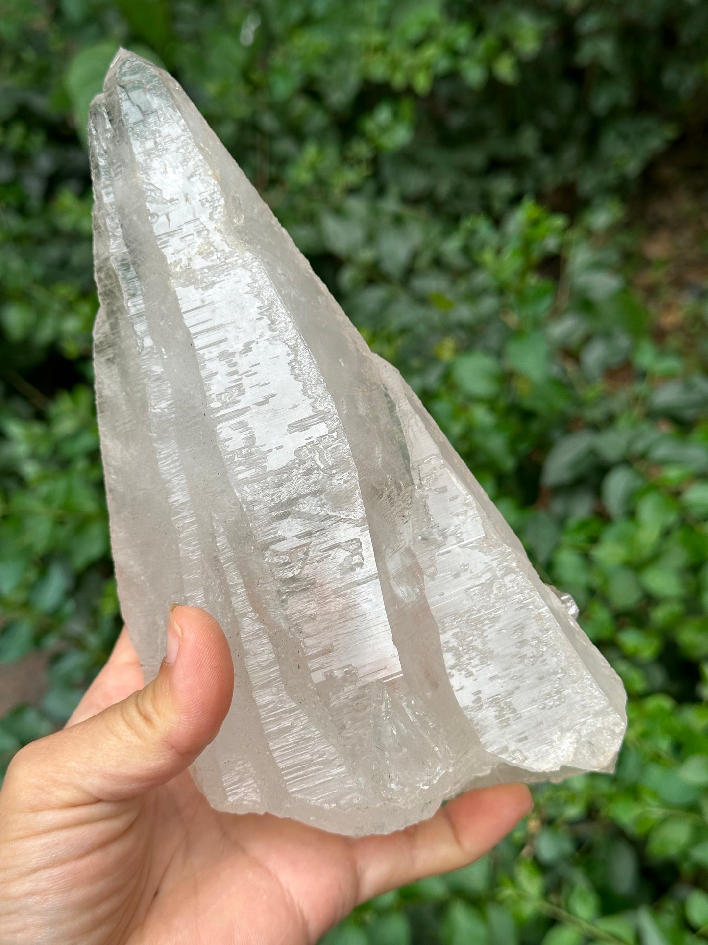 Rare Ice White Himalayan Skeletal Laser Quartz Castle Crystal Cluster/Knife Crystal Point-1125g 194*87*68 mm