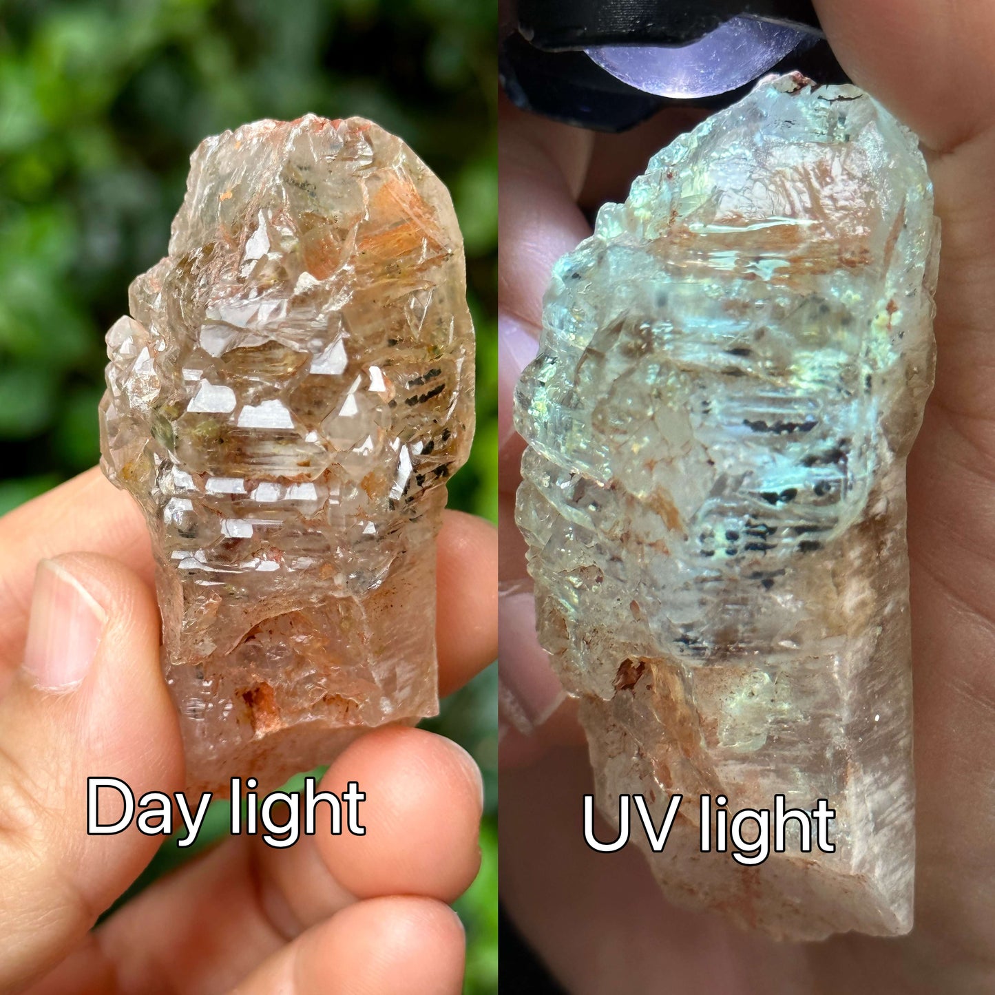 Rare Fluorescent Skeleton Fenster Quartz Crystal Point with red soil-from Madagascar Scepter Crystal/Energy Quartz-62*30*23 mm 47g