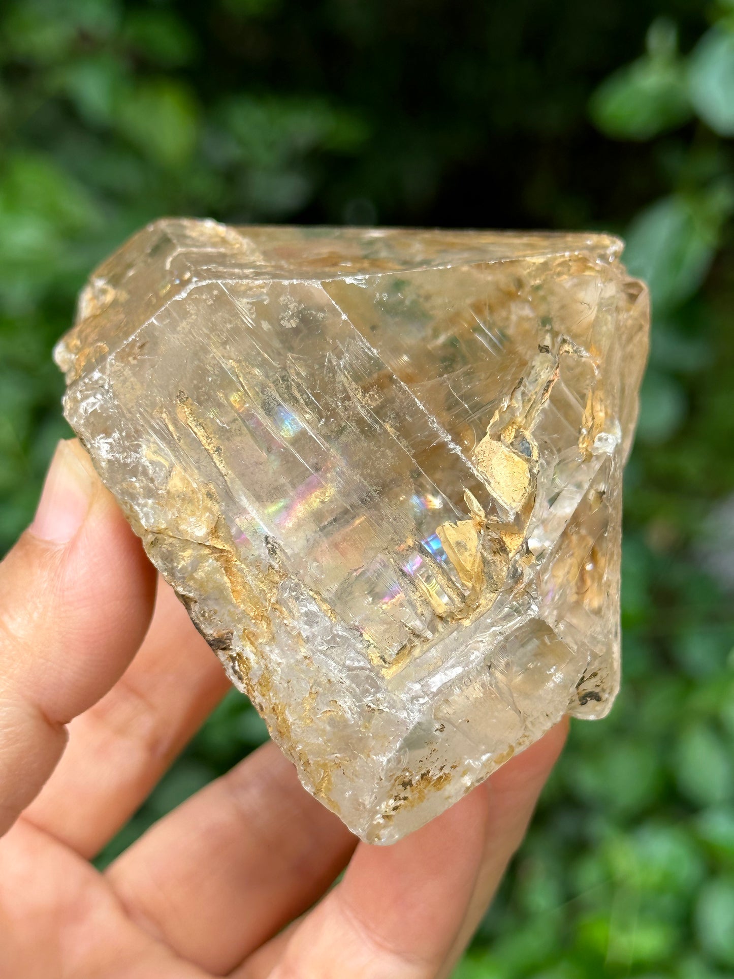 Large Clear Himalayan Skeletal Fenster Quartz with opening windows Crystal Point with golden soil-Himalayas crystal/Energy Quartz-310 g