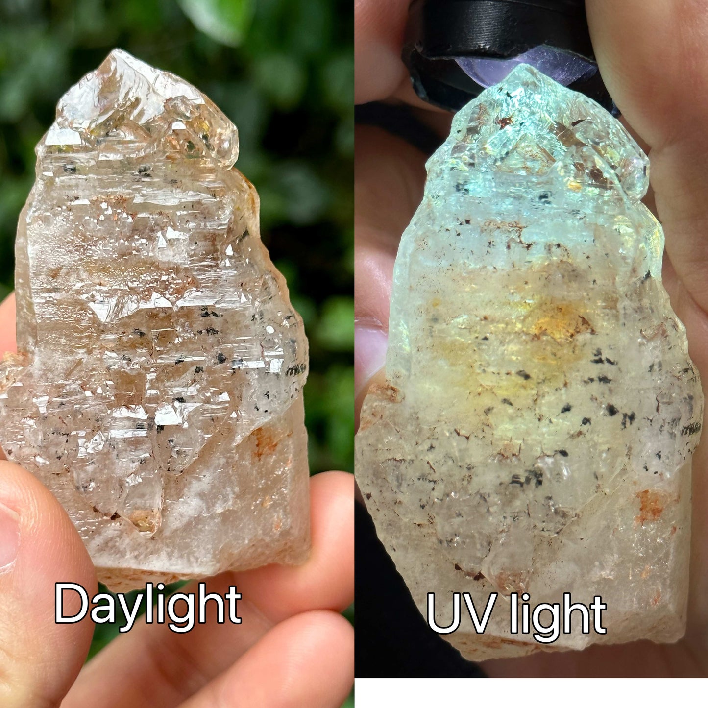 Fluorescent Skeletal Nirvana Quartz Crystal Point with Red Mud-from Madagascar Scepter crystal/Energy Quartz/Palm Stone Crystal- 73 g