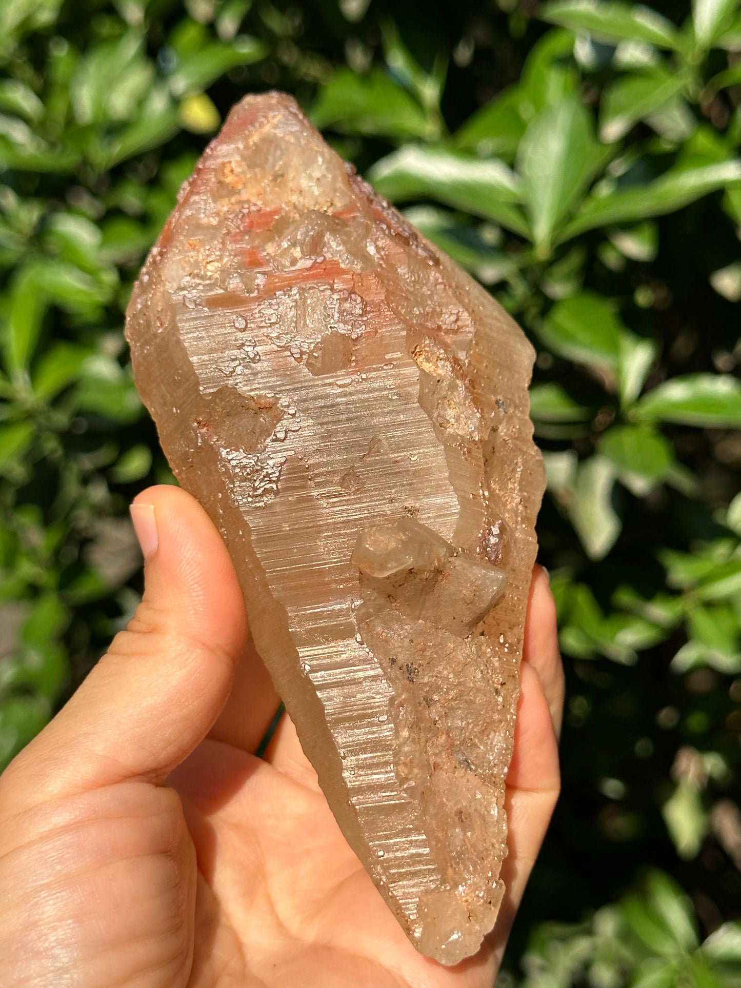 415 g Rare Double Terminated Lemurian Quartz Nirvana Crystal,Meditation,Energy Crystal