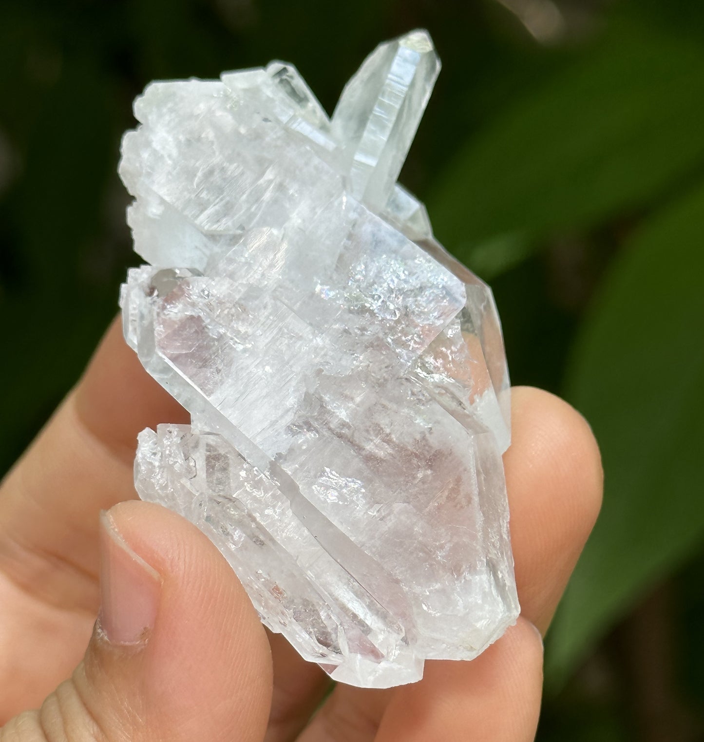 Clear Himalayan Double Termianted Faden Quartz Tabular Crystal Cluster