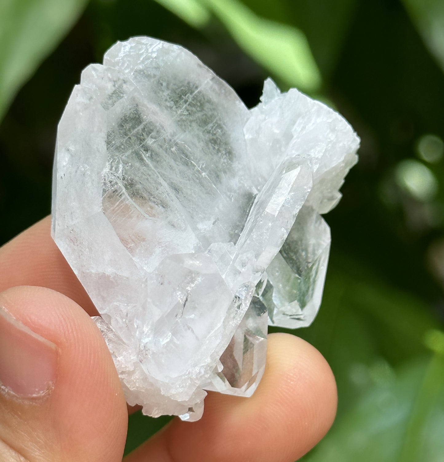 Clear Faden Quartz Tabular Crystal Cluster