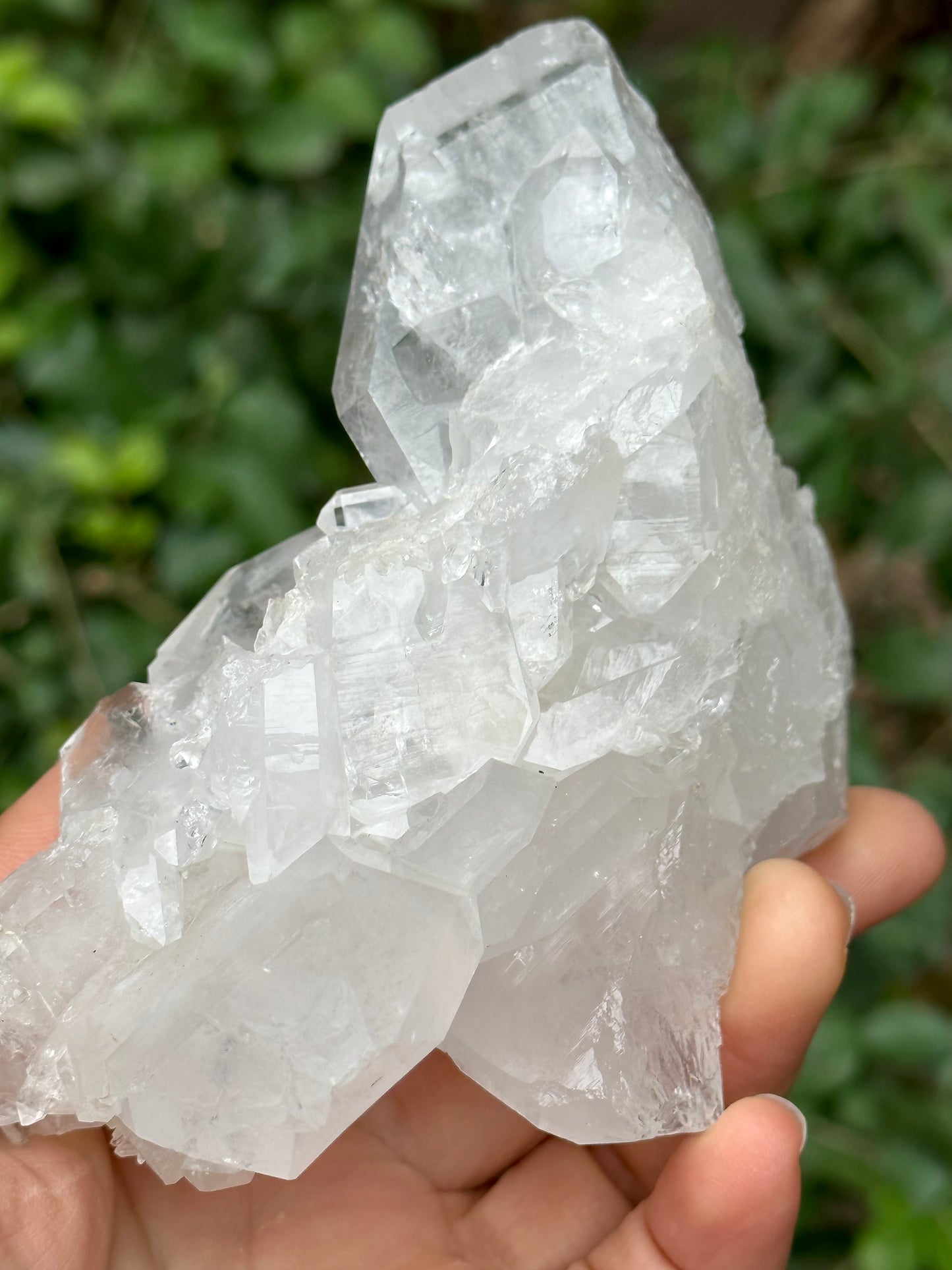 Large Clear Faden Quartz Tabular Crystal Cluster Stone/Himalayan Quartz Specimen/Metaphysical Crystal/Gemstone Collections-117*82*50 mm351 g