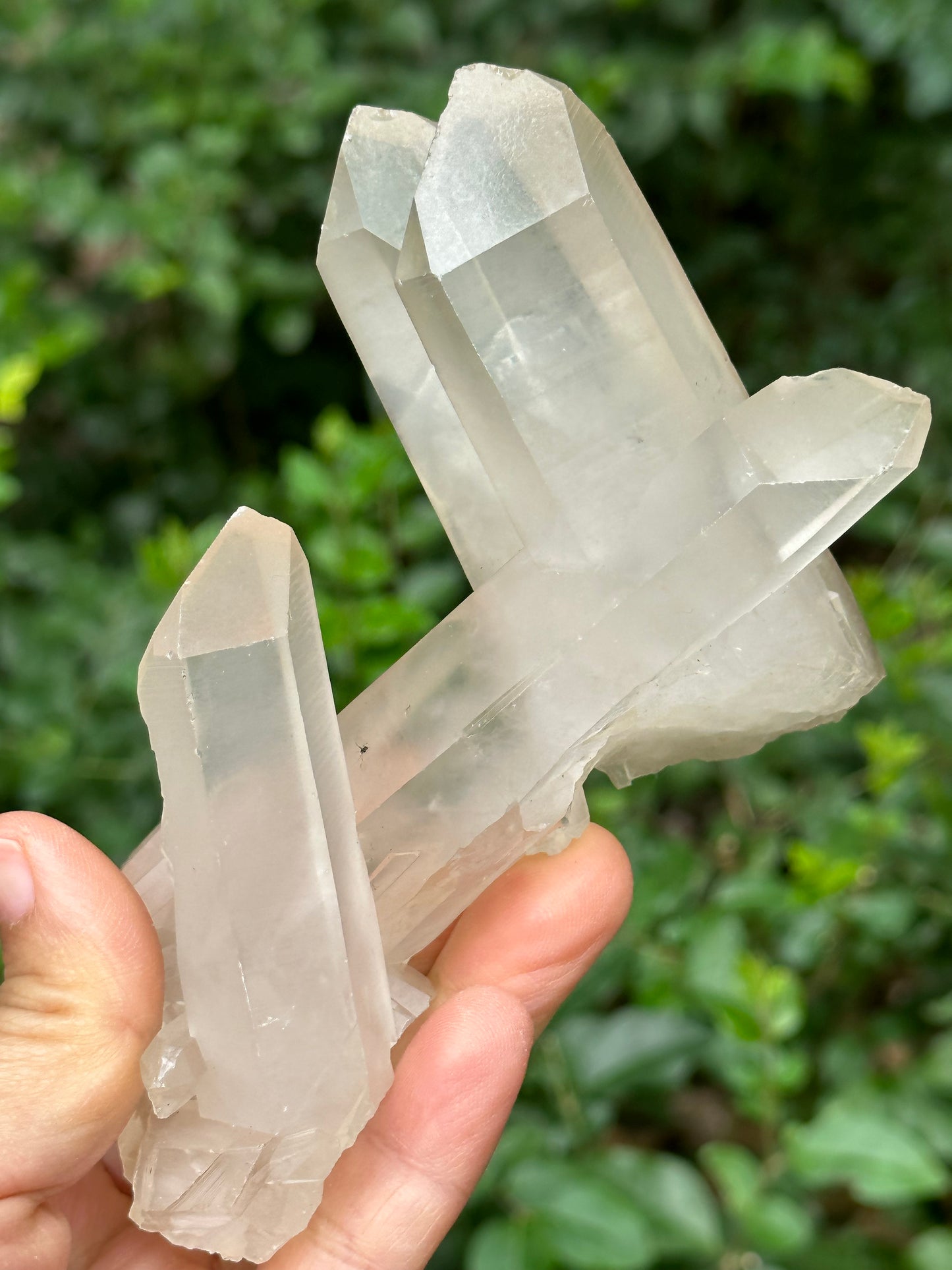 Rare Raw Bridge Quartz Crystal Cluster/Tantric twins+Time Links+Transmitter Quartz/Healing Crystal and Stone-117*46*89 mm 309 g