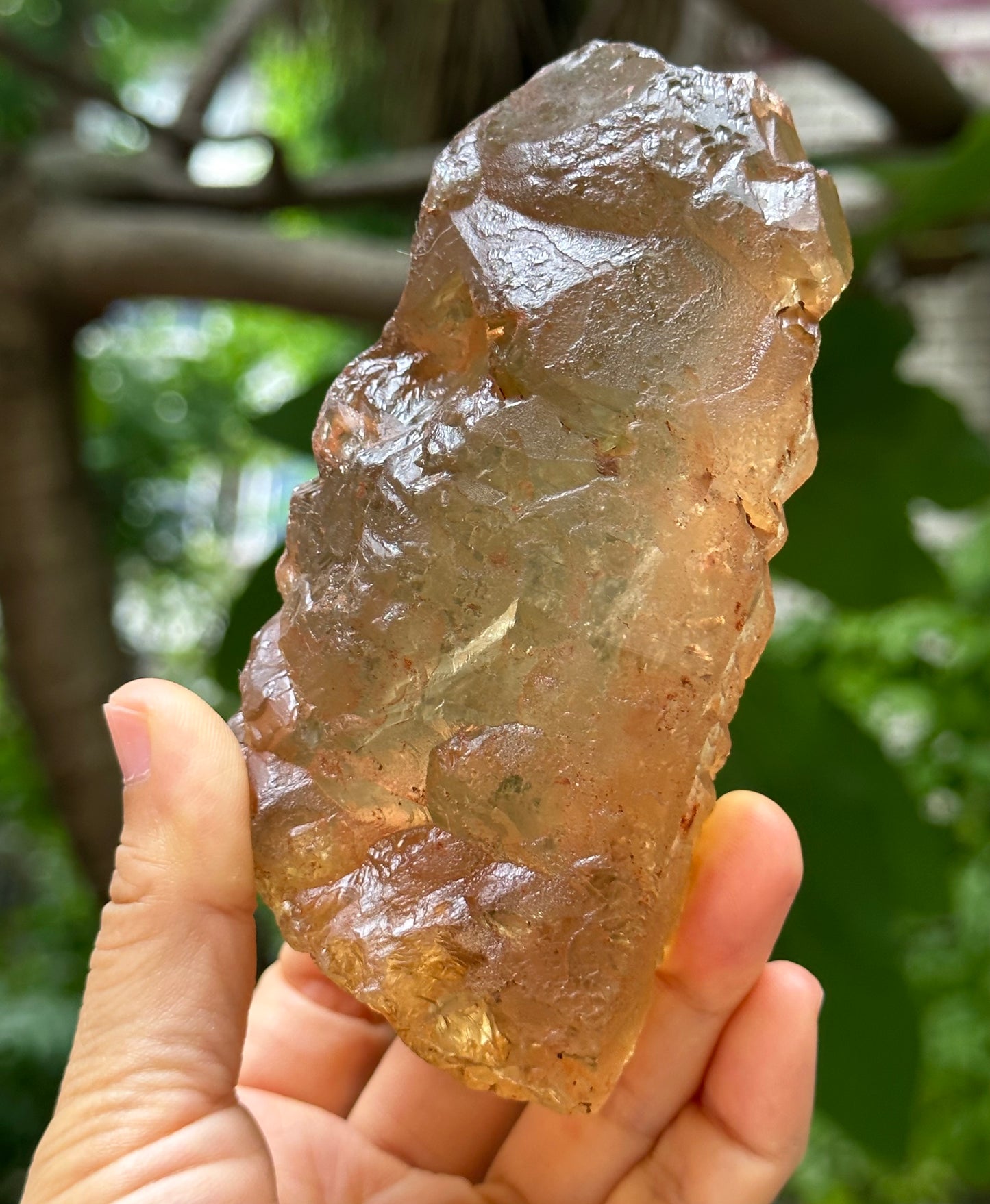 Raw Clear Record-keeper Nirvana Citrine Crystal Point/Energy Quartz/Crystal Healing -115*56*40 mm 410