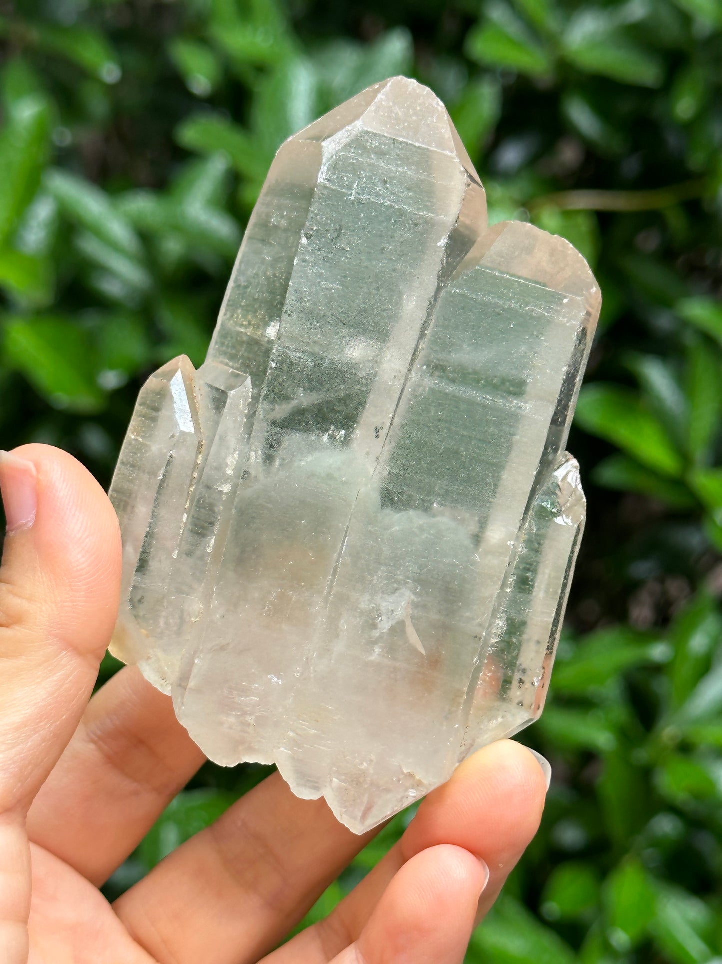 Rare Tabular Multiple Double Terminated Quartz Crystals with Light Green Phantom Included,Chlorite Pyramid Including