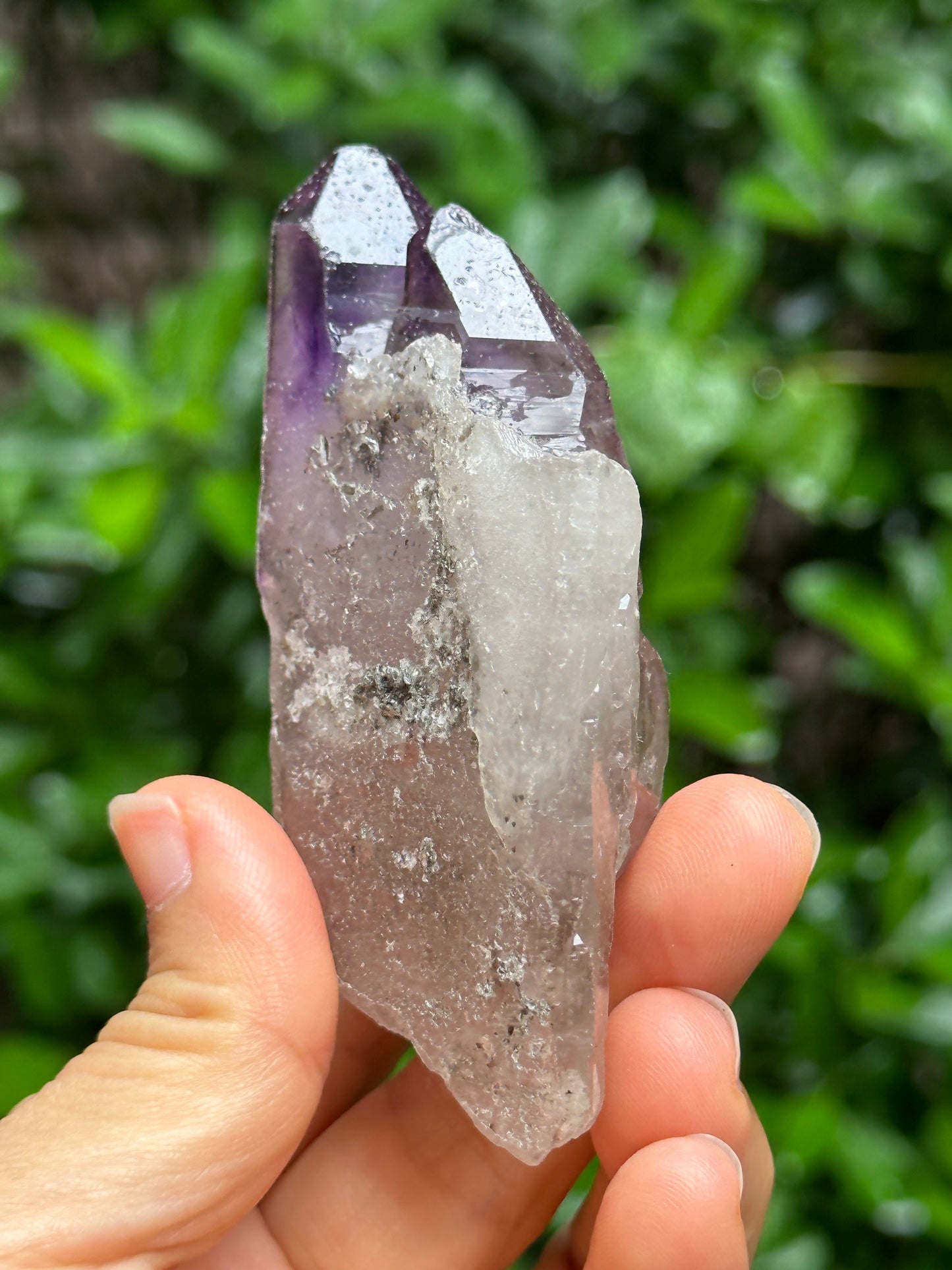 Rare Tabular Double Terminated Super 7 Amethyst Quartz Crystals