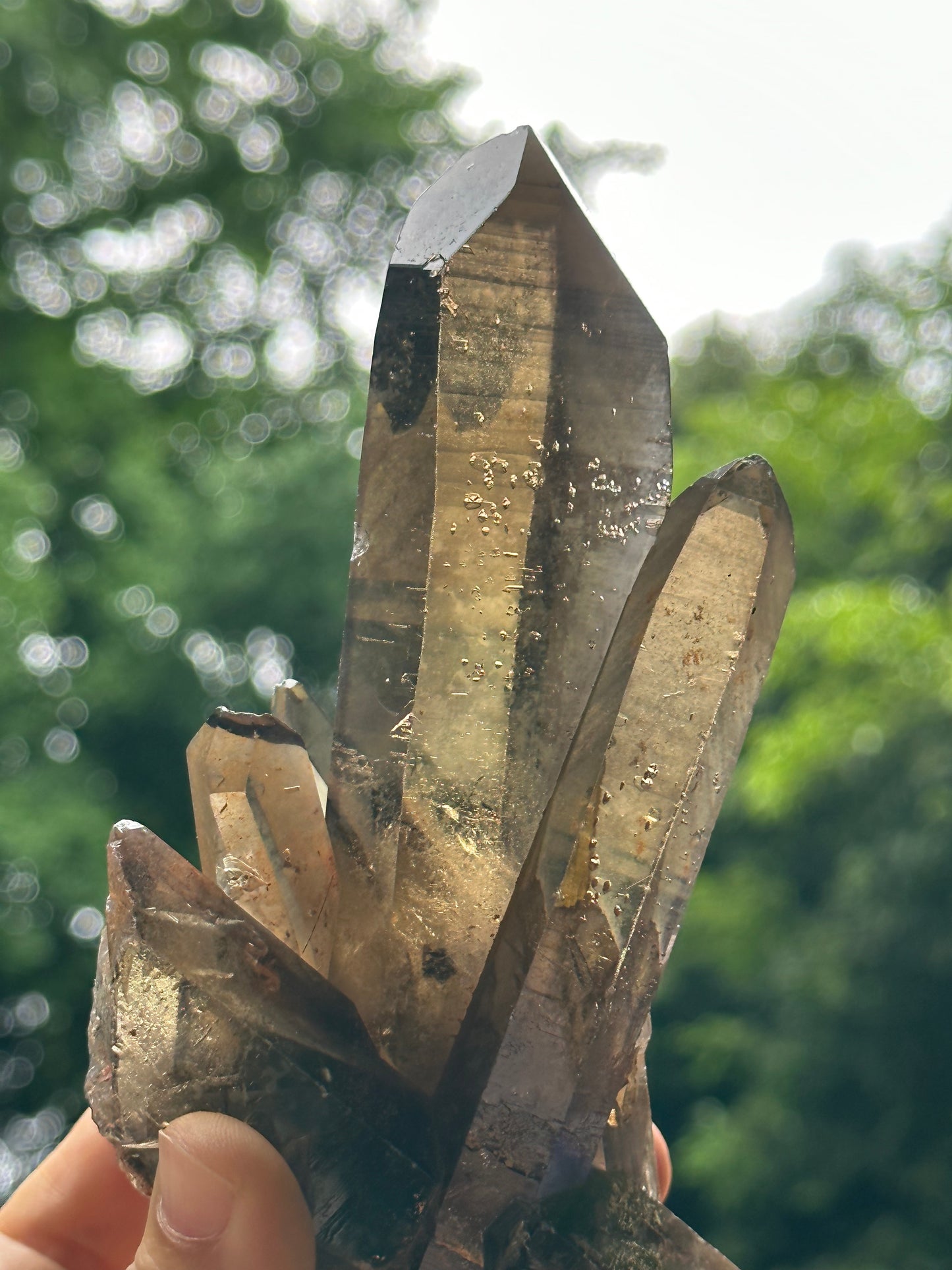 Tantric Twins Law Clear Smokey Quartz Knife Crystal Point/Citrine Quartz Muzo Crystal Cluster/Soulmate Twin Quartz Crystal-447 g