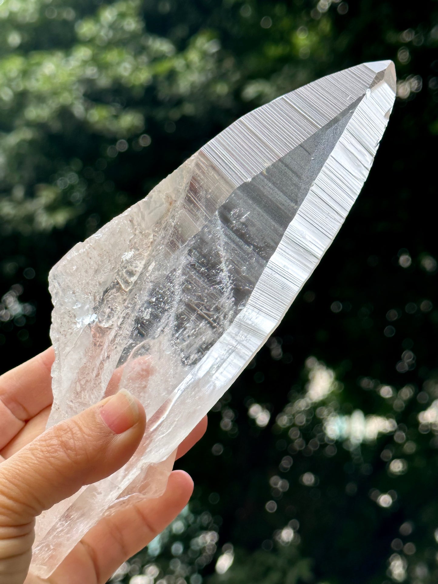 1.2 lbs Long and Clear Columbia Lemurian Seed Muzo Quartz Laser Knife Crystal Point with Striation