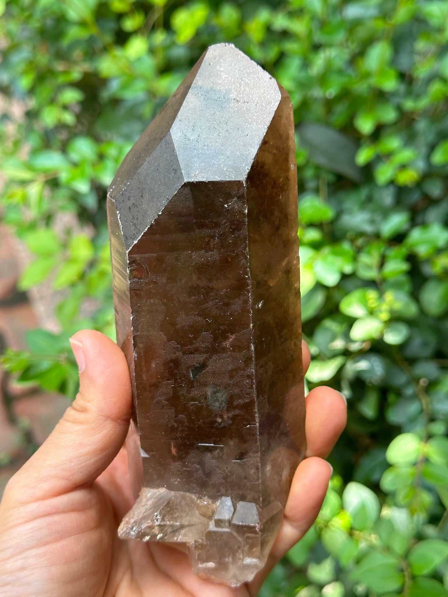 Time Links Smokey Quartz Crystal Point with Golden Rutile+Specularite Inclusion/Powerful Engergy Quartz /Healing Stone/Reiki/Chakra/Zen-541g