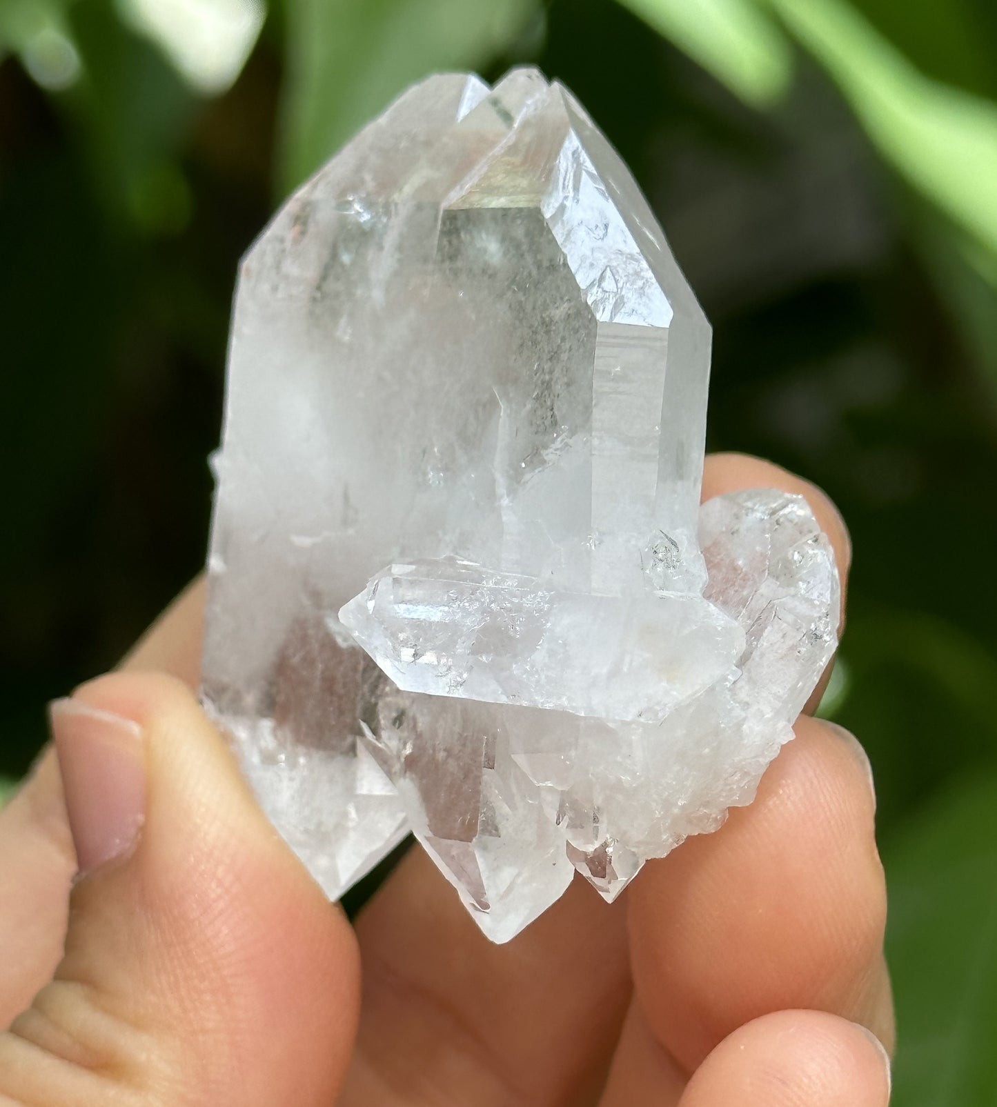 Clear Faden Quartz Tabular Crystal Cluster