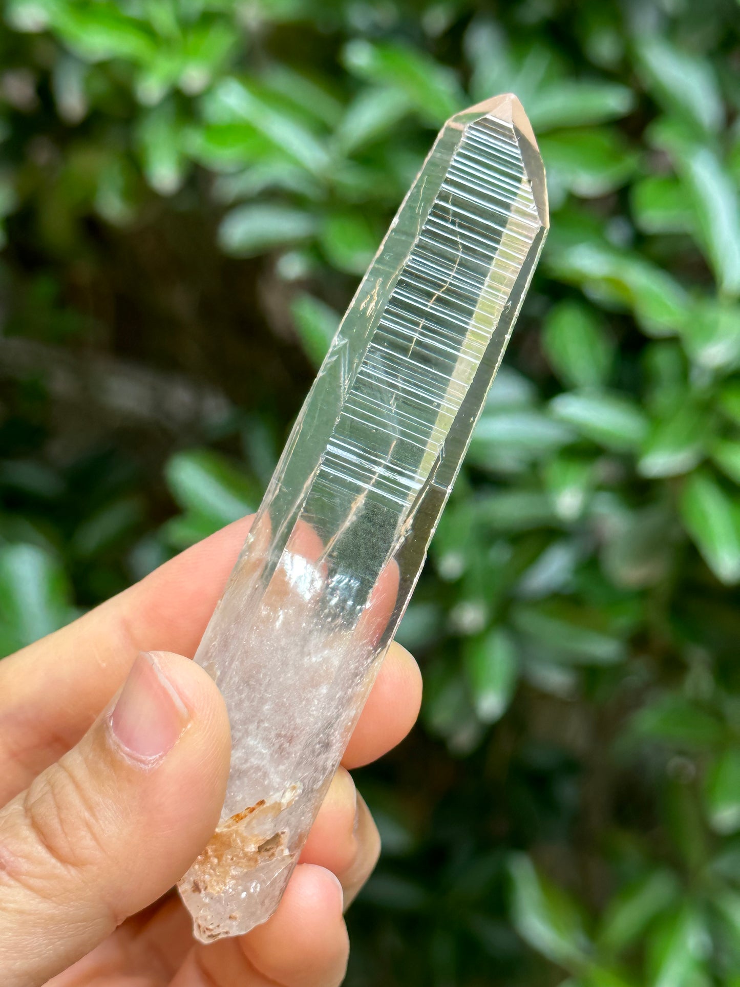 Perfect Clear Himalayan Lemurian Seed Quartz Crystal/Receiver Generator Quartz Crystal-102*19*13 mm  46 g