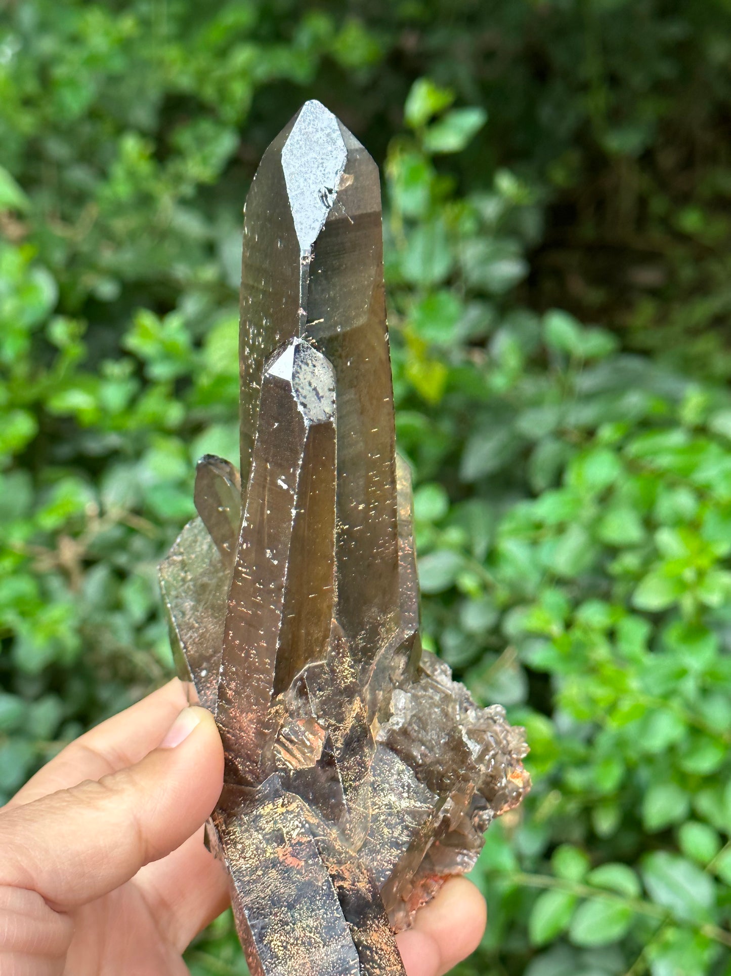 Tantric Twins Law Clear Smokey Quartz Knife Crystal Point/Citrine Quartz Muzo Crystal Cluster/Soulmate Twin Quartz Crystal-447 g