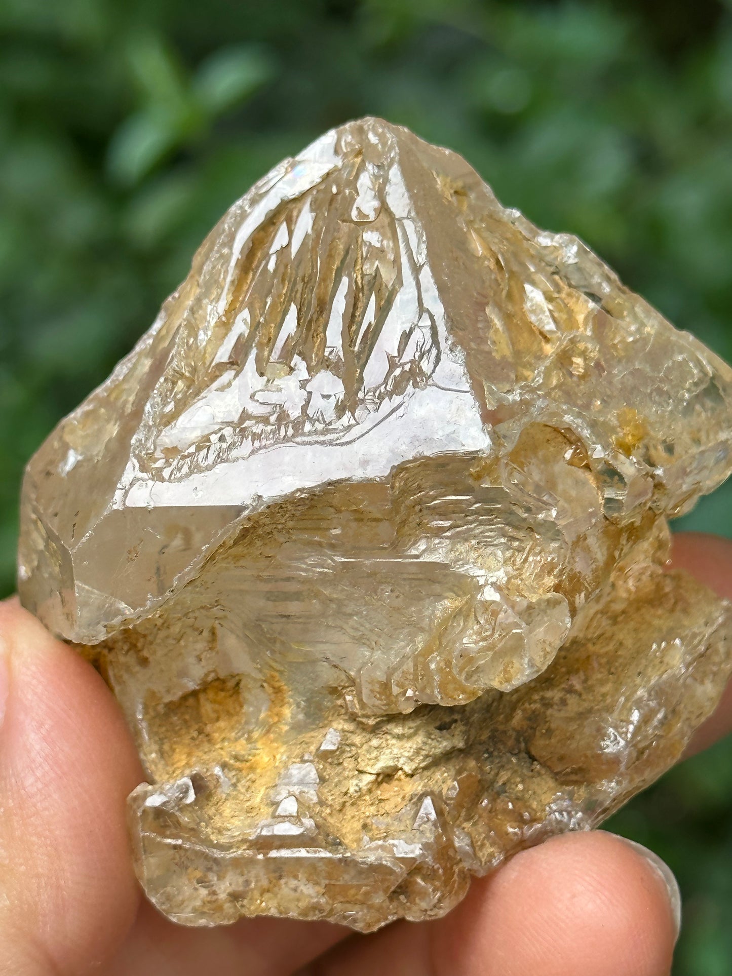 Natural Fenster Crystal Skeletal Quartz Point with golden soil-from Himalayas,Nirvana crystal/Energy Quartz-47*52*42 mm 101 g