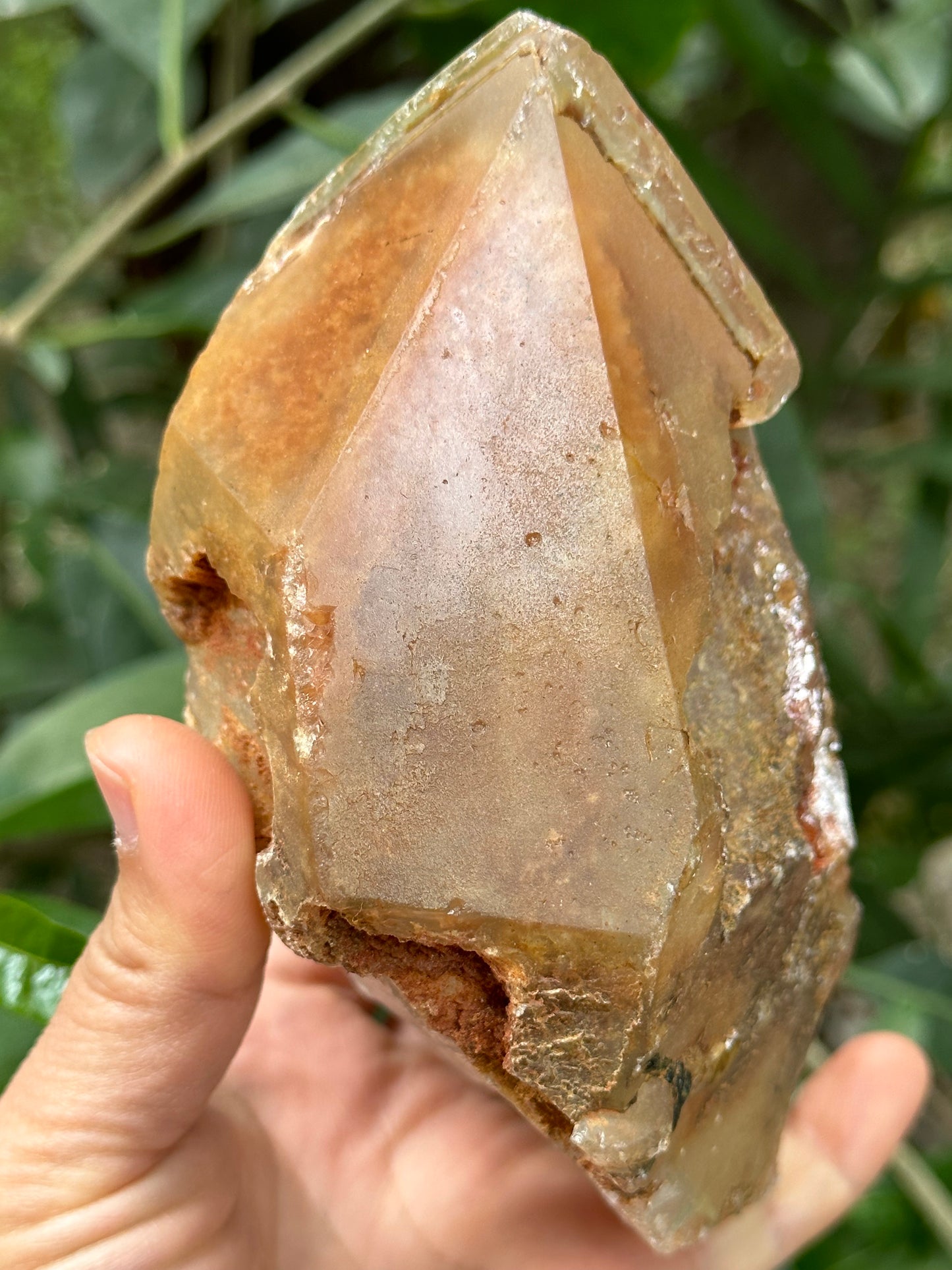 Rare Tangerine Amphibole & Green Tourmaline Grow with Quartz Crystal Point