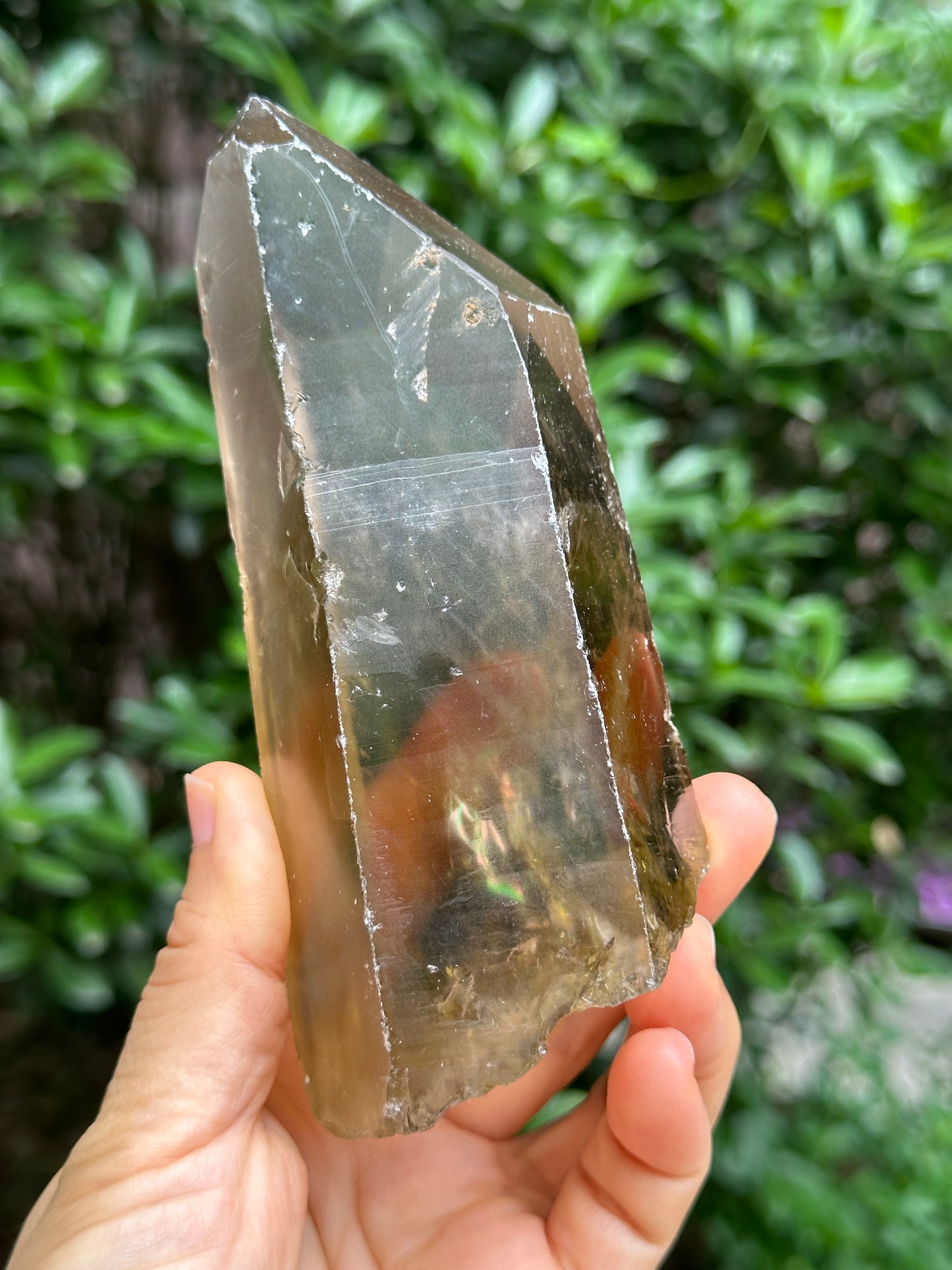 Rare Window Citrine Crystal Time Links Quartz Crystal Energy Healing Meditation