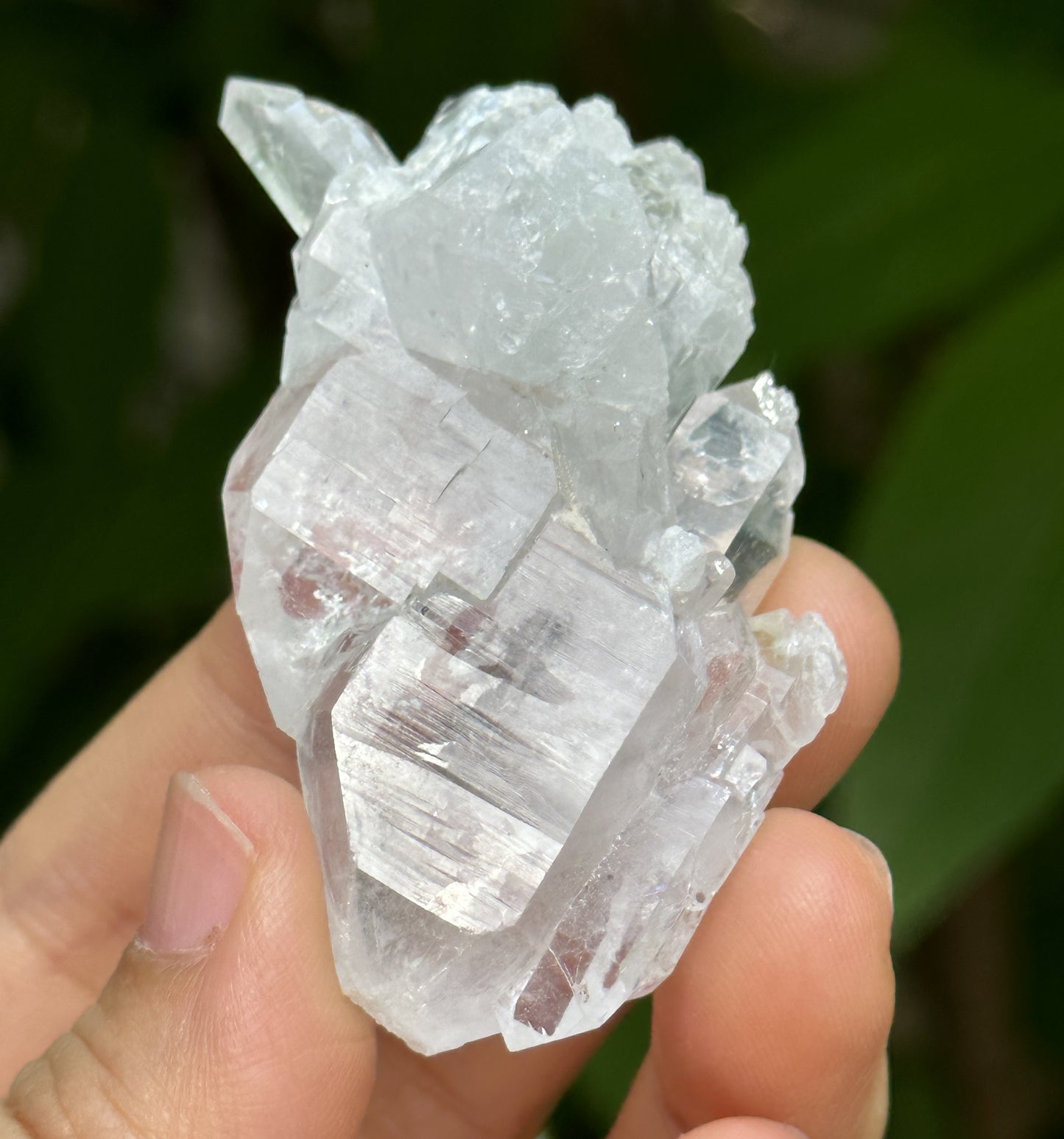 Clear Himalayan Double Termianted Faden Quartz Tabular Crystal Cluster