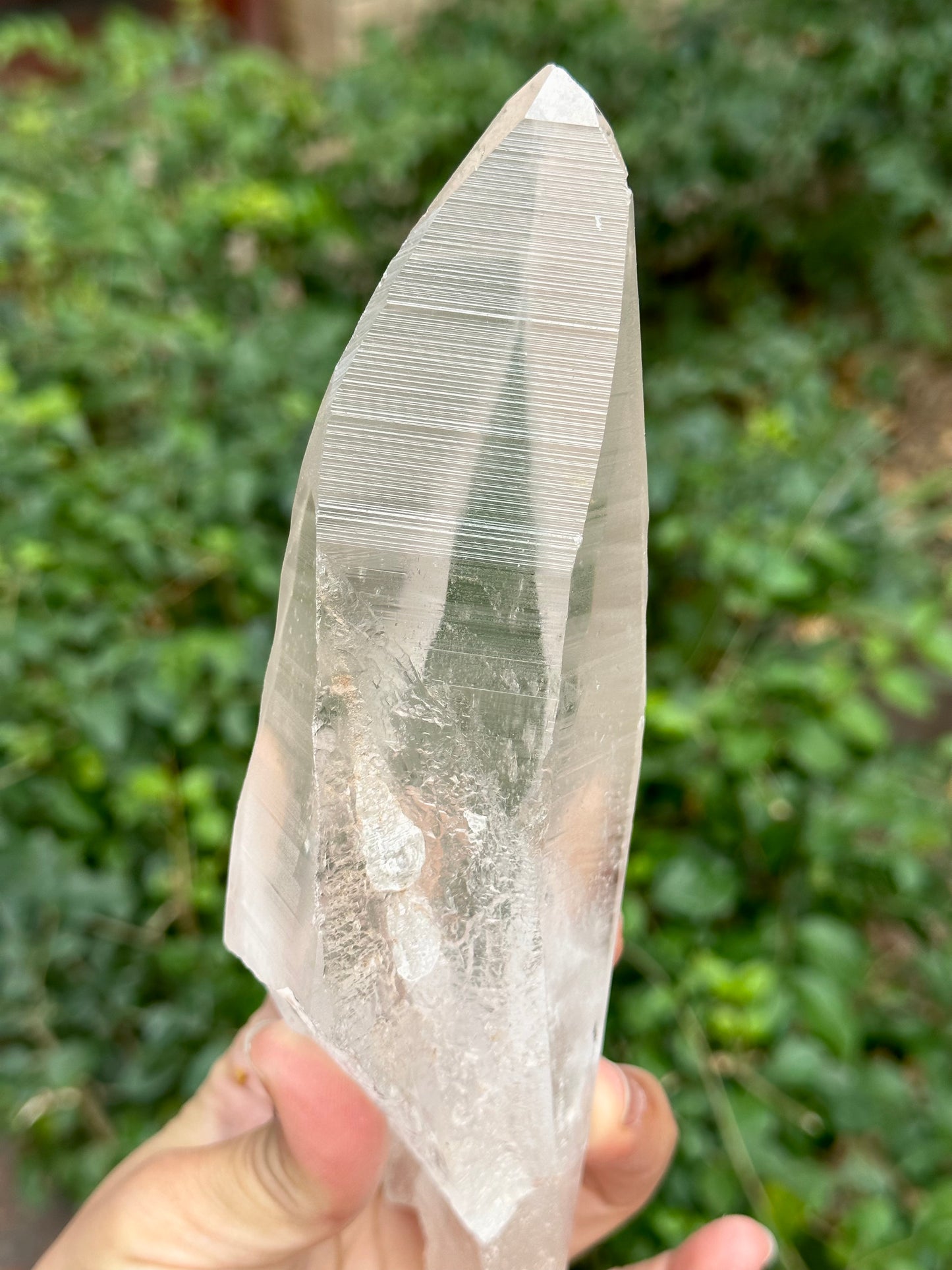 1.2 lbs Long and Clear Columbia Lemurian Seed Muzo Quartz Laser Knife Crystal Point with Striation