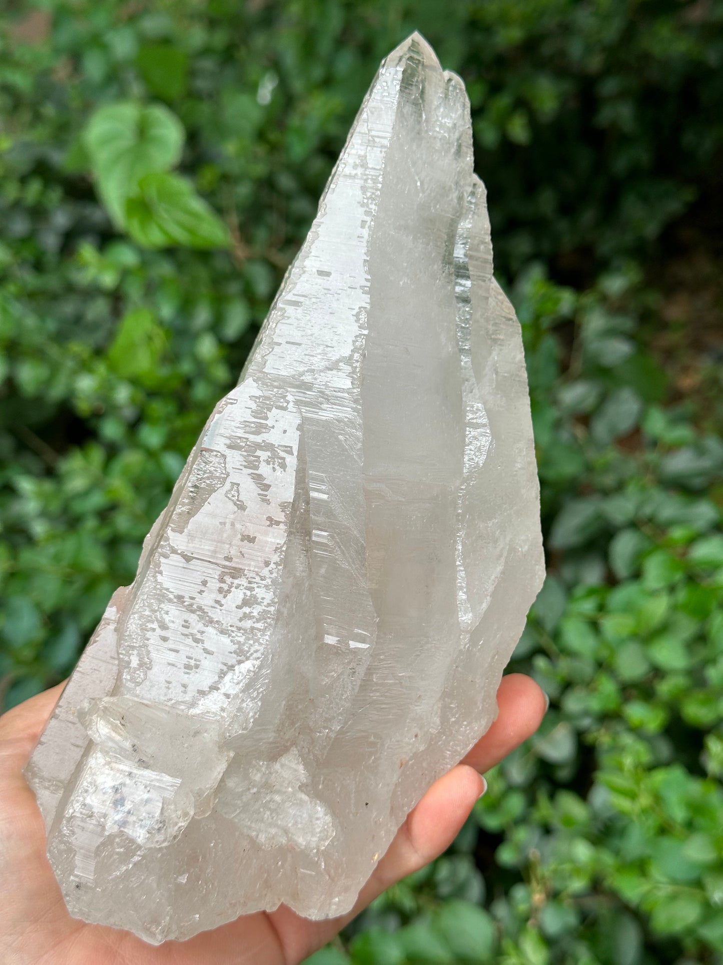 Rare Ice White Himalayan Skeletal Laser Quartz Castle Crystal Cluster/Knife Crystal Point-1125g 194*87*68 mm