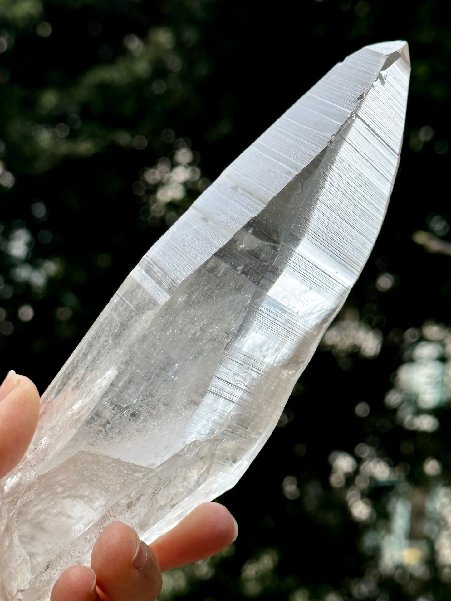 1.2 lbs Long and Clear Columbia Lemurian Seed Muzo Quartz Laser Knife Crystal Point with Striation