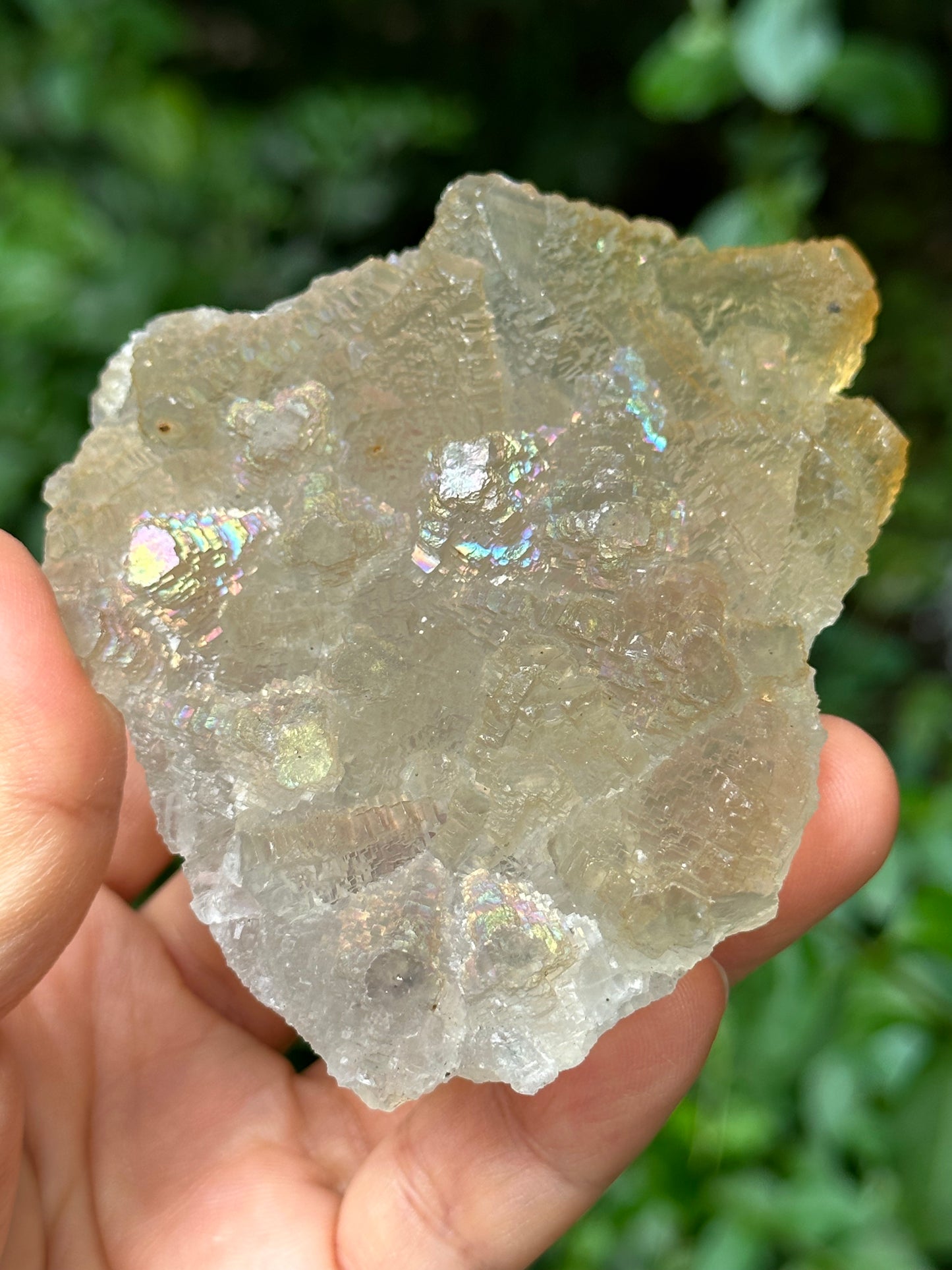 Rare Rainbow Fluorite Crystal Cluster,YGX Fluorite Specimen,Mineral Collection,Raw Pyramid Fluorite