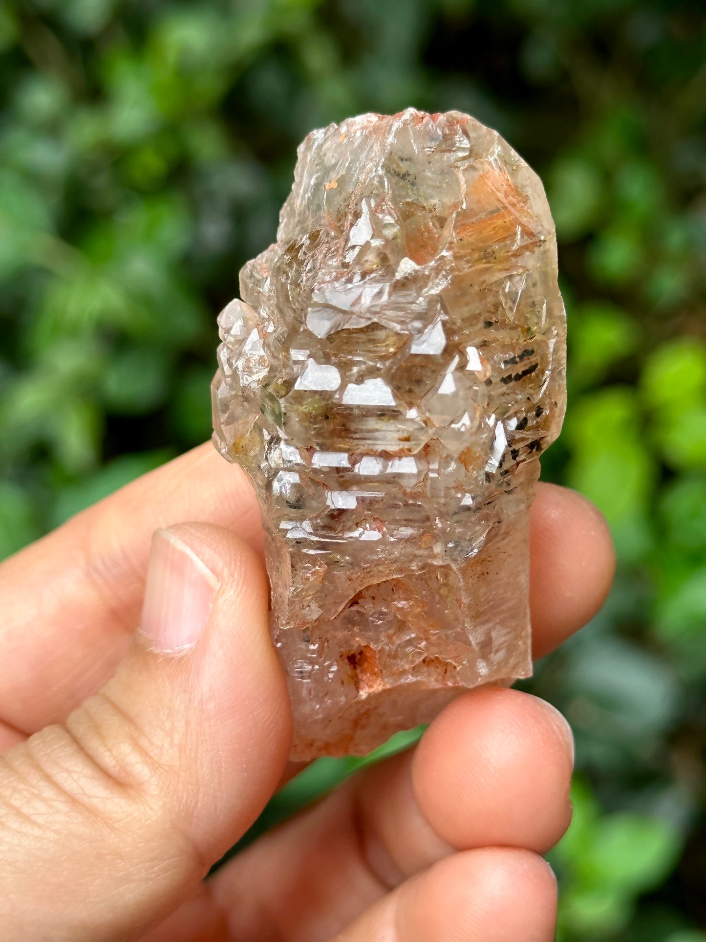 Rare Fluorescent Skeleton Fenster Quartz Crystal Point with red soil-from Madagascar Scepter Crystal/Energy Quartz-62*30*23 mm 47g