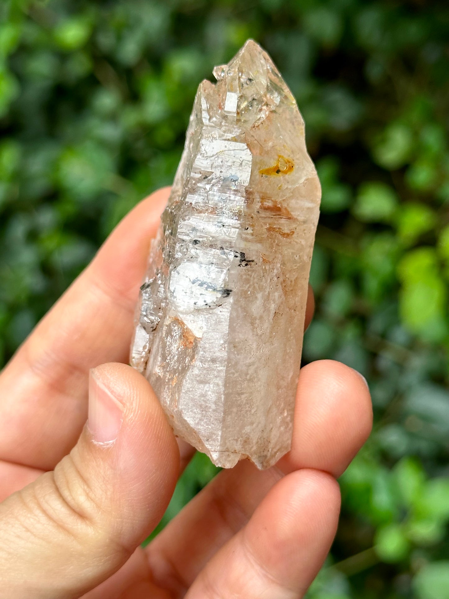 Fluorescent Skeletal Nirvana Quartz Crystal Point with Red Mud-from Madagascar Scepter crystal/Energy Quartz/Palm Stone Crystal- 73 g