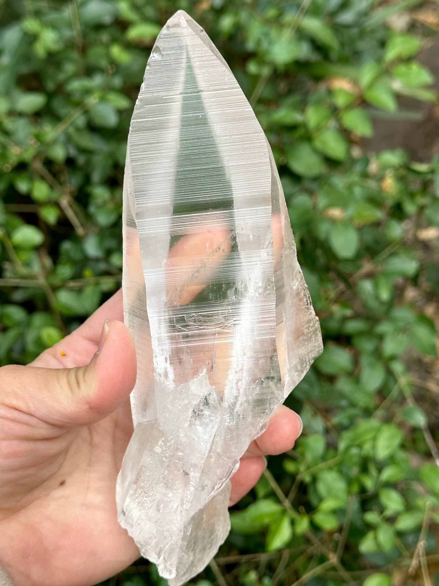 1.2 lbs Long and Clear Columbia Lemurian Seed Muzo Quartz Laser Knife Crystal Point with Striation