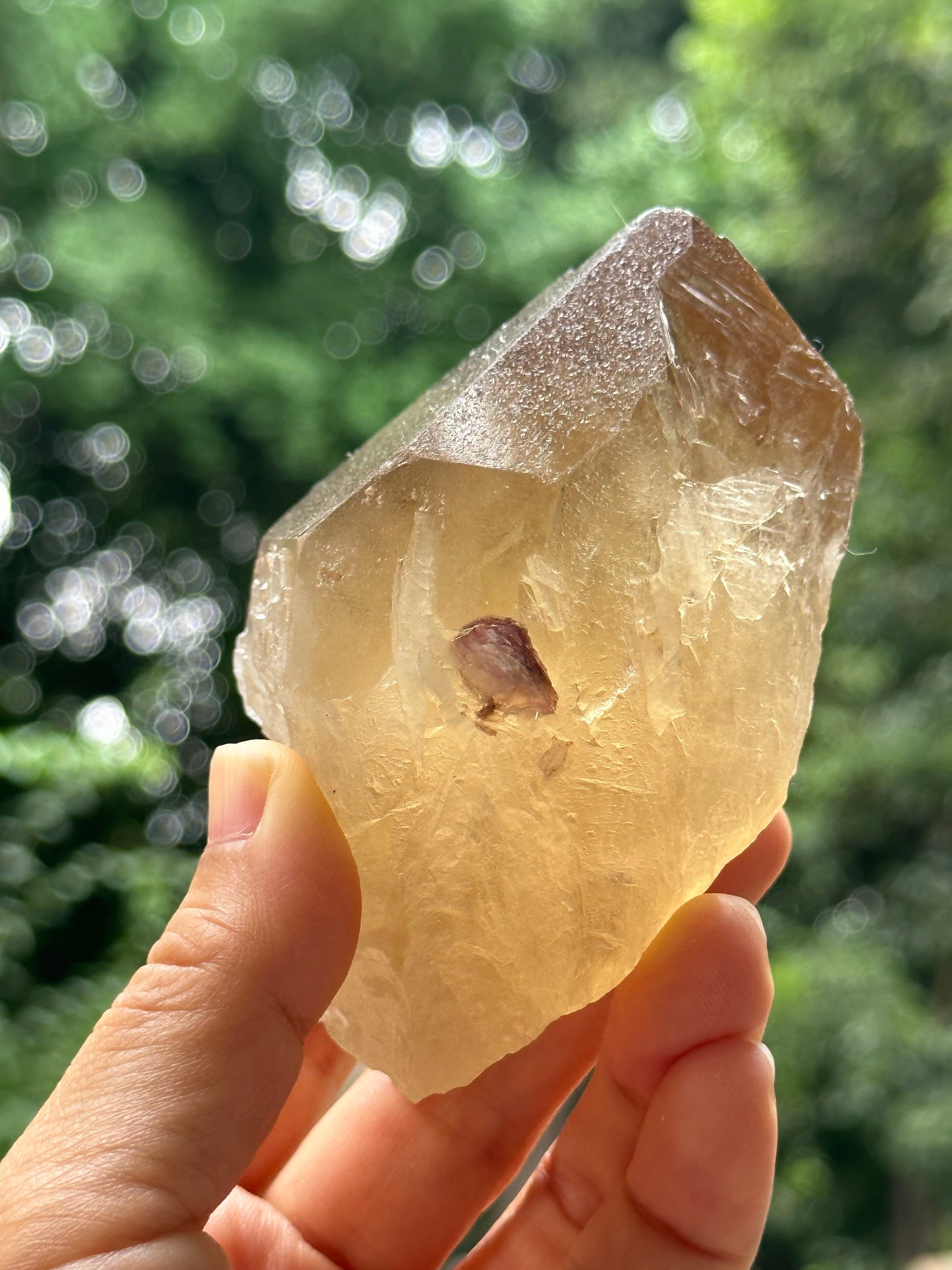 307 g Natural Citrine Record-keeper Quartz Crystal Point