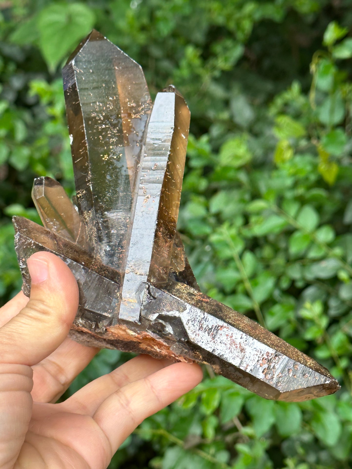 Tantric Twins Law Clear Smokey Quartz Knife Crystal Point/Citrine Quartz Muzo Crystal Cluster/Soulmate Twin Quartz Crystal-447 g