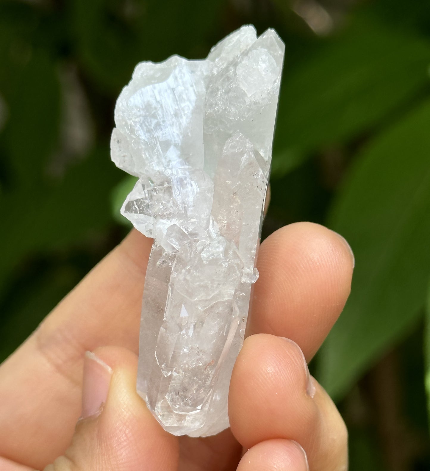 Clear Himalayan Double Termianted Faden Quartz Tabular Crystal Cluster