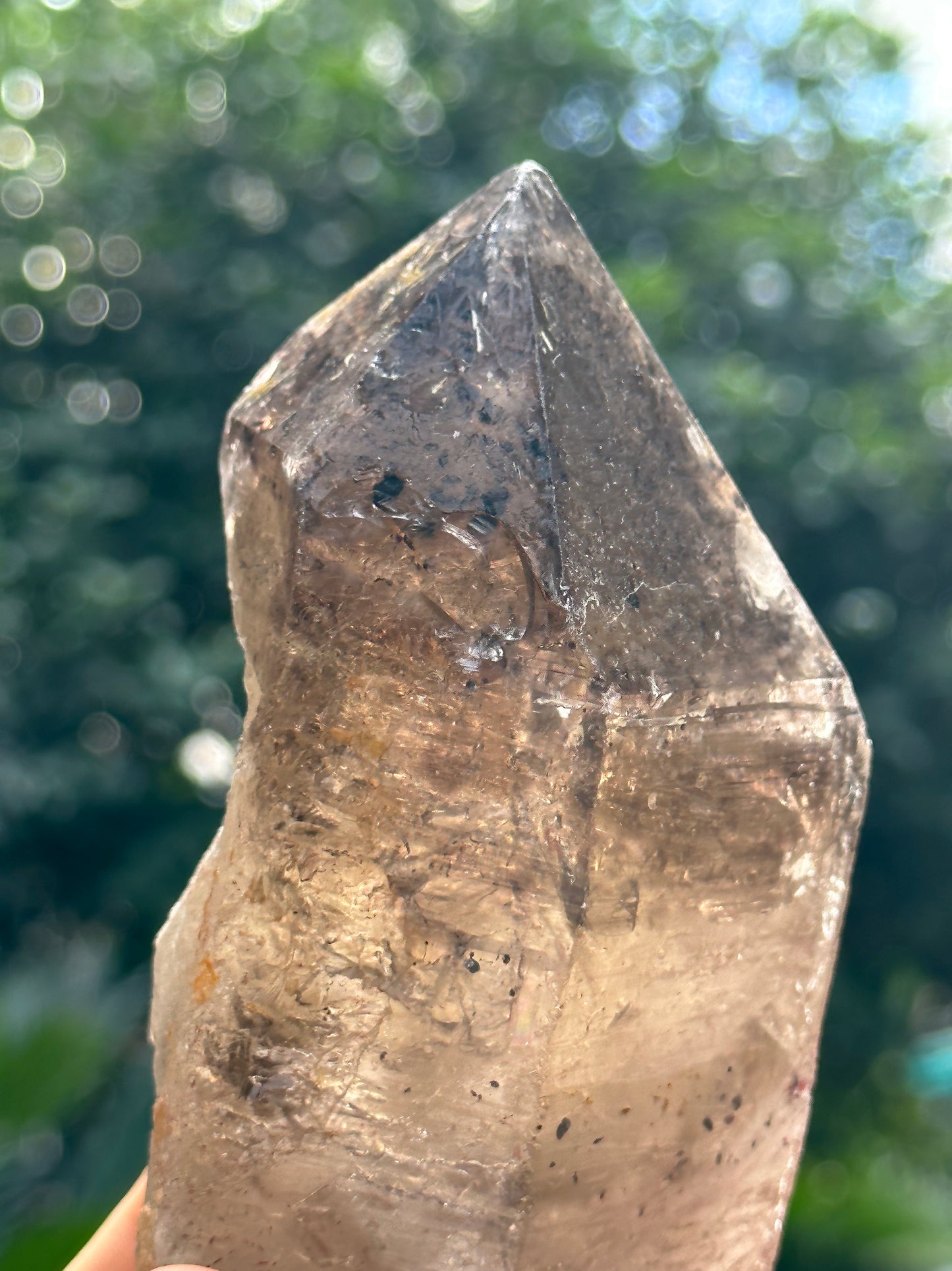 759 g Rare Record-keeper Strawberry Quartz Crystal Point