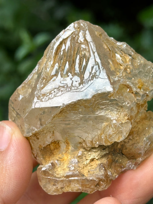 Natural Fenster Crystal Skeletal Quartz Point with golden soil-from Himalayas,Nirvana crystal/Energy Quartz-47*52*42 mm 101 g