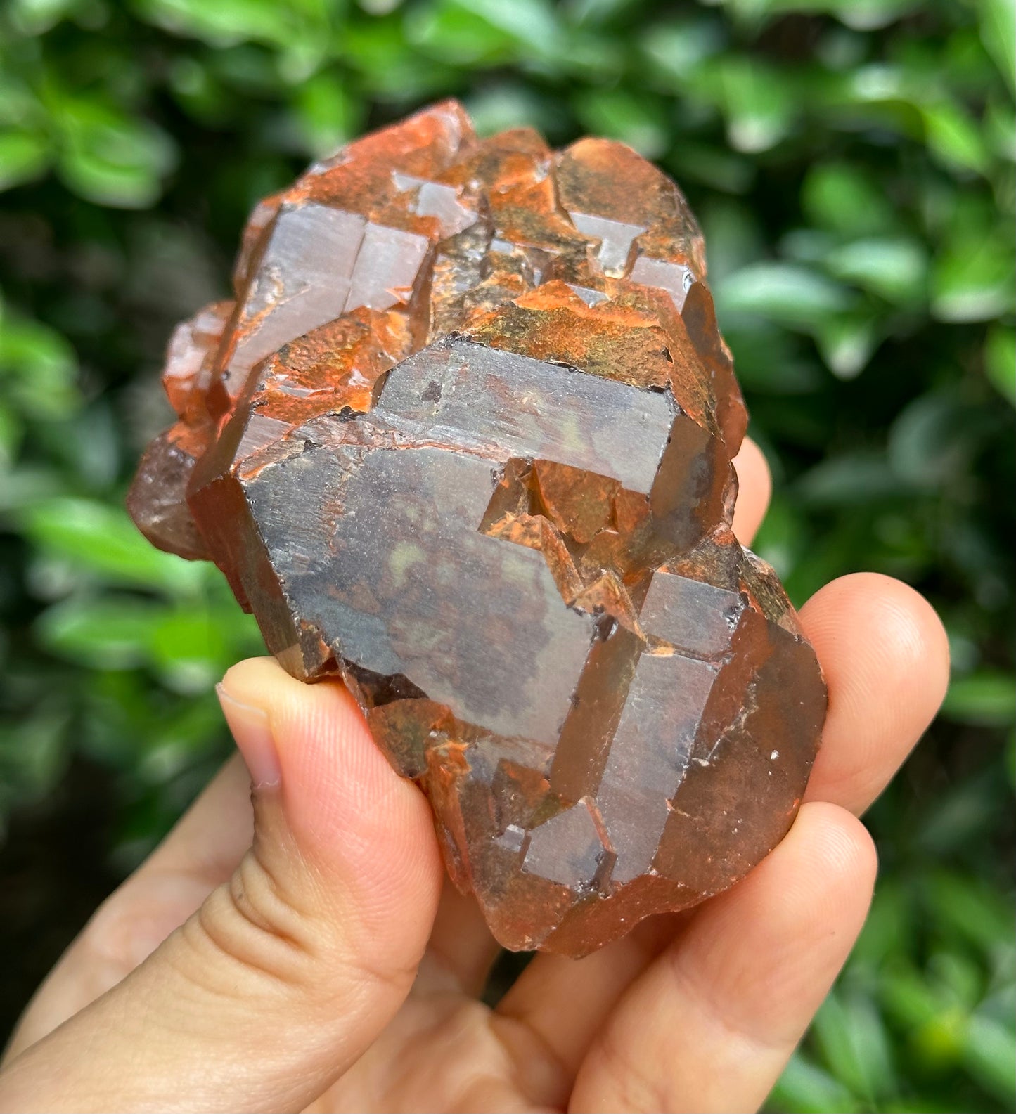 238 g Rare Double Terminated Red Hematite Quartz Elestial Crystal Cluster