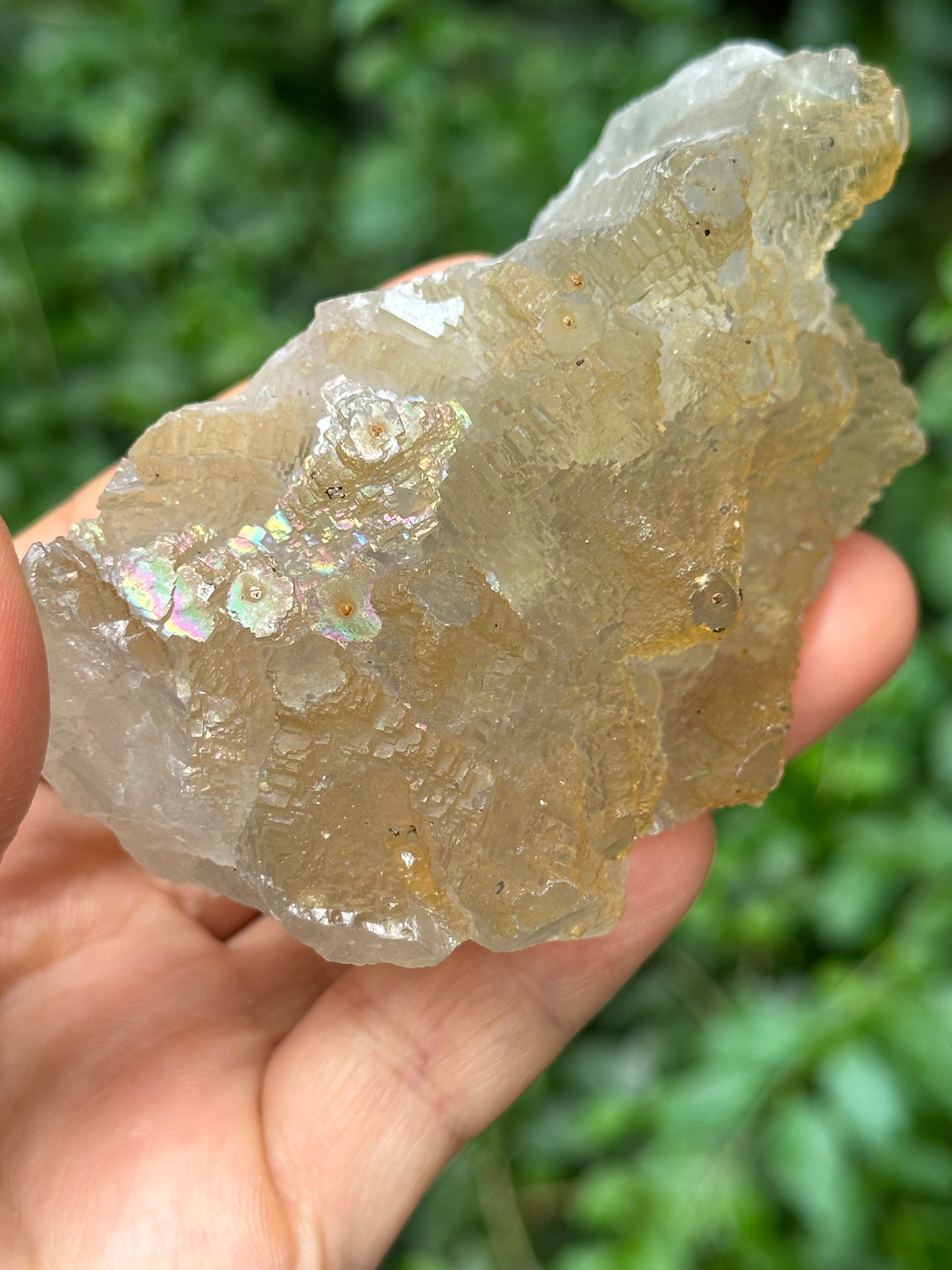 Rare Rainbow Fluorite Crystal Cluster,YGX Fluorite Specimen,Mineral Collection,Raw Pyramid Fluorite