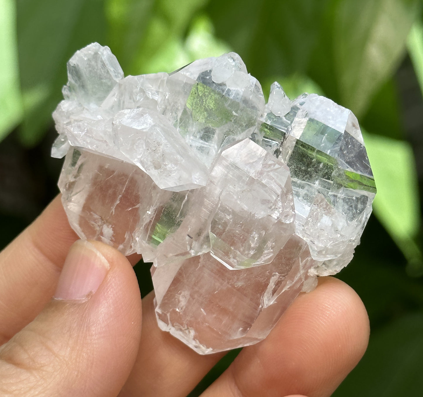 Clear Double Terminated Faden Tabular Quartz Crystal Cluster