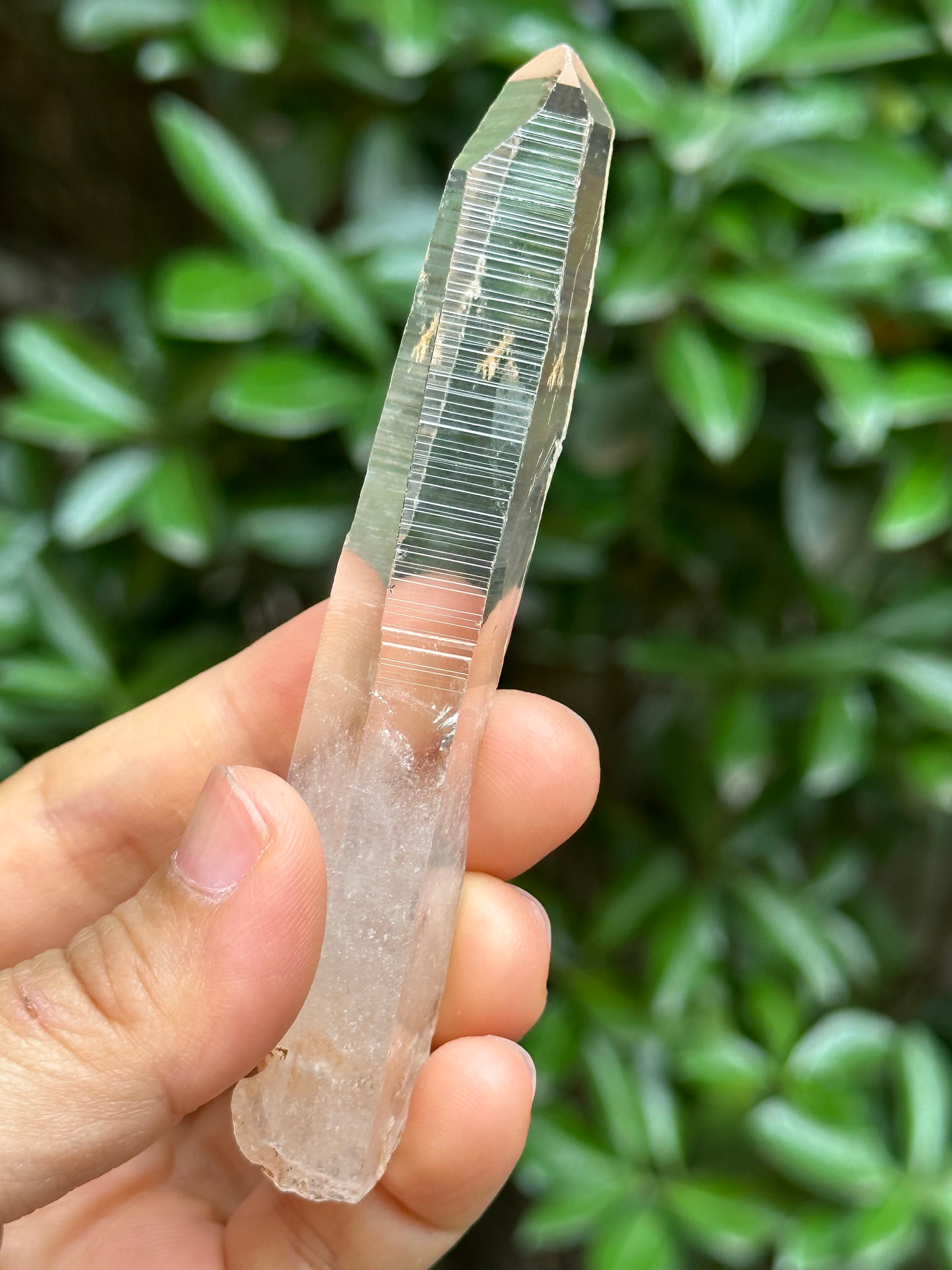 Perfect Clear Himalayan Lemurian Seed Quartz Crystal/Receiver Generator Quartz Crystal-102*19*13 mm  46 g