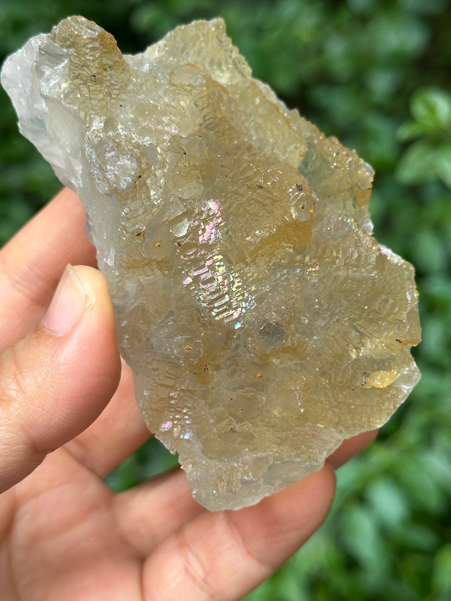 Rare Rainbow Fluorite Crystal Cluster,YGX Fluorite Specimen,Mineral Collection,Raw Pyramid Fluorite