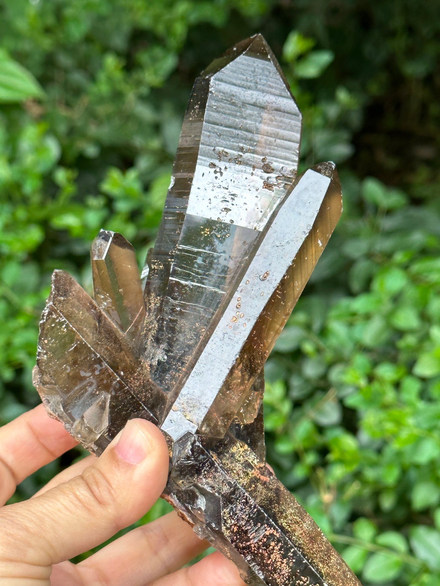 Tantric Twins Law Clear Smokey Quartz Knife Crystal Point/Citrine Quartz Muzo Crystal Cluster/Soulmate Twin Quartz Crystal-447 g