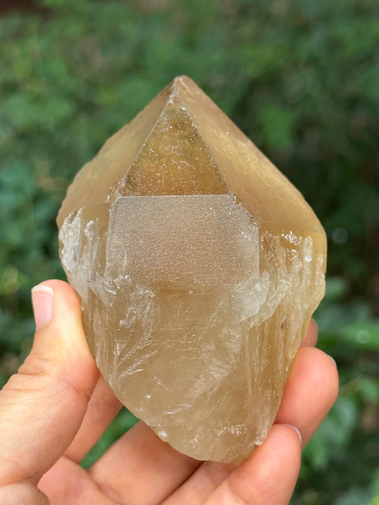 307 g Natural Citrine Record-keeper Quartz Crystal Point