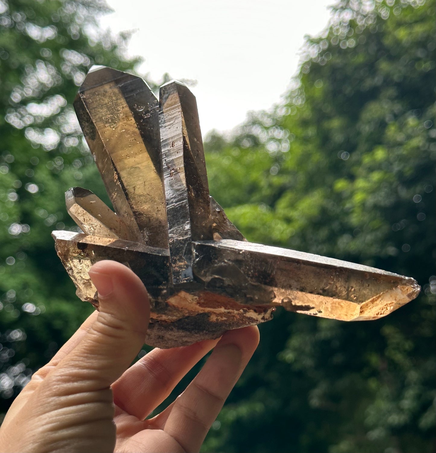 Tantric Twins Law Clear Smokey Quartz Knife Crystal Point/Citrine Quartz Muzo Crystal Cluster/Soulmate Twin Quartz Crystal-447 g