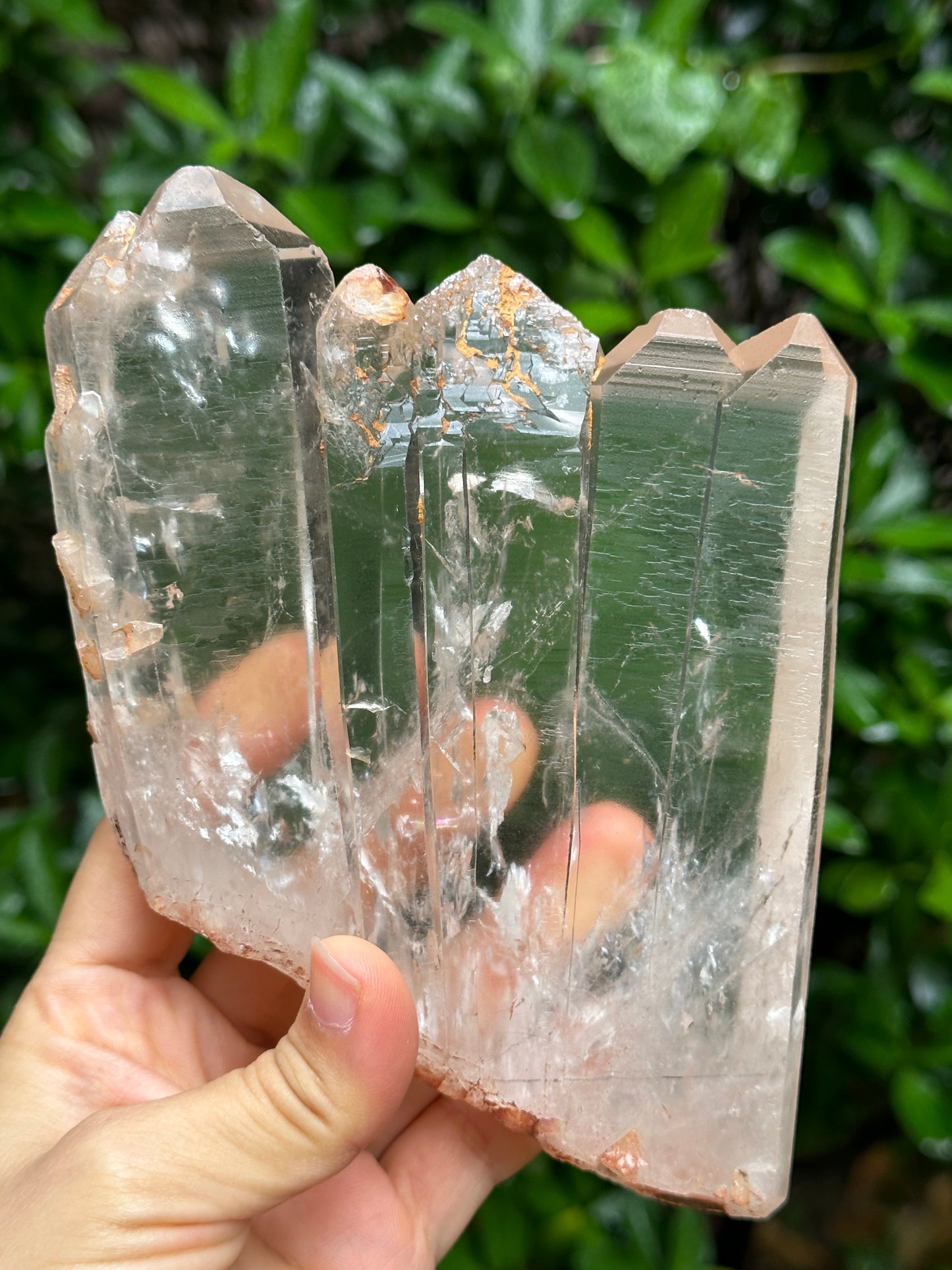 Rare Himalayan Tabular Multiple Quartz Crystals + wooden stand