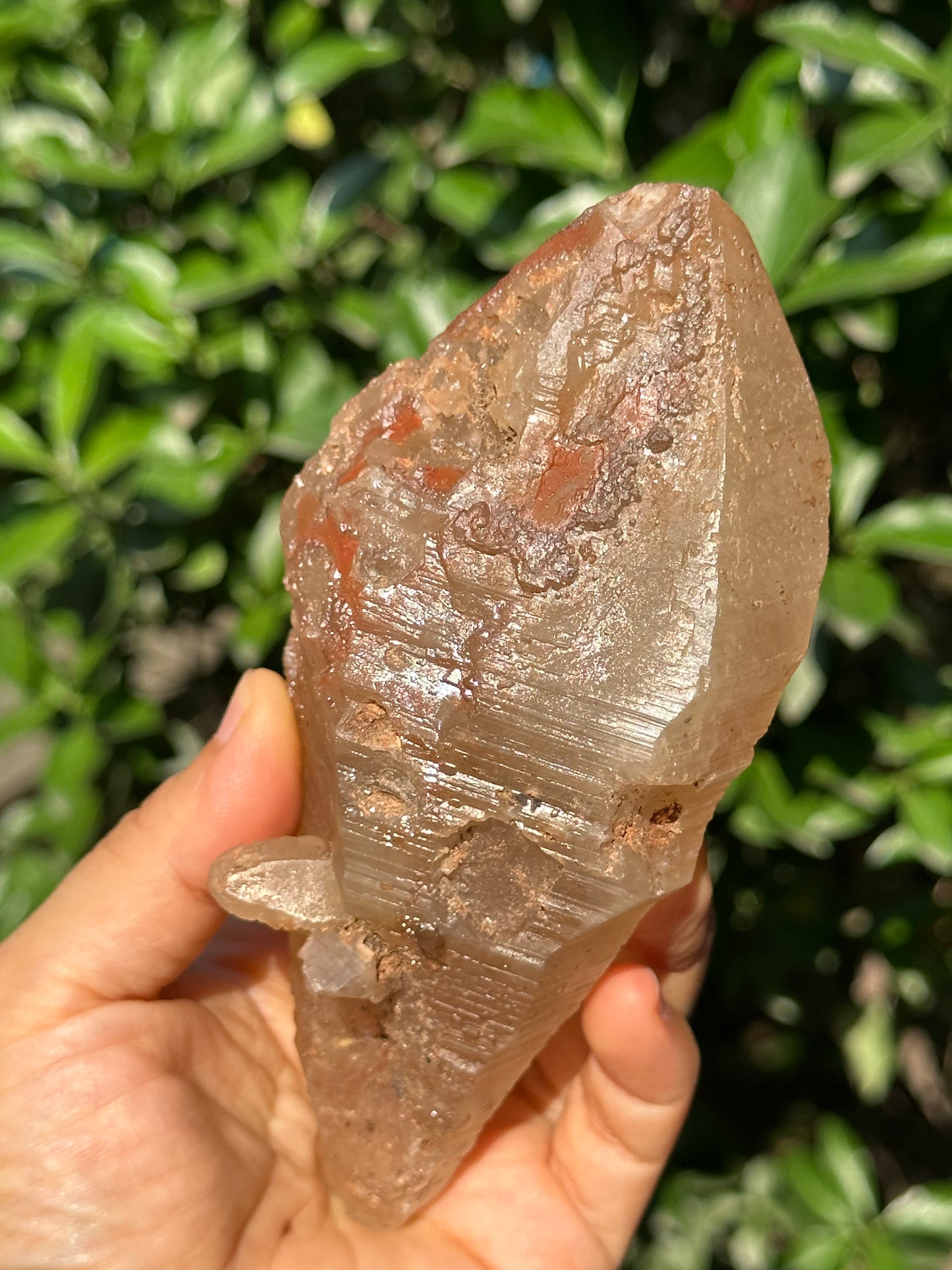 415 g Rare Double Terminated Lemurian Quartz Nirvana Crystal,Meditation,Energy Crystal