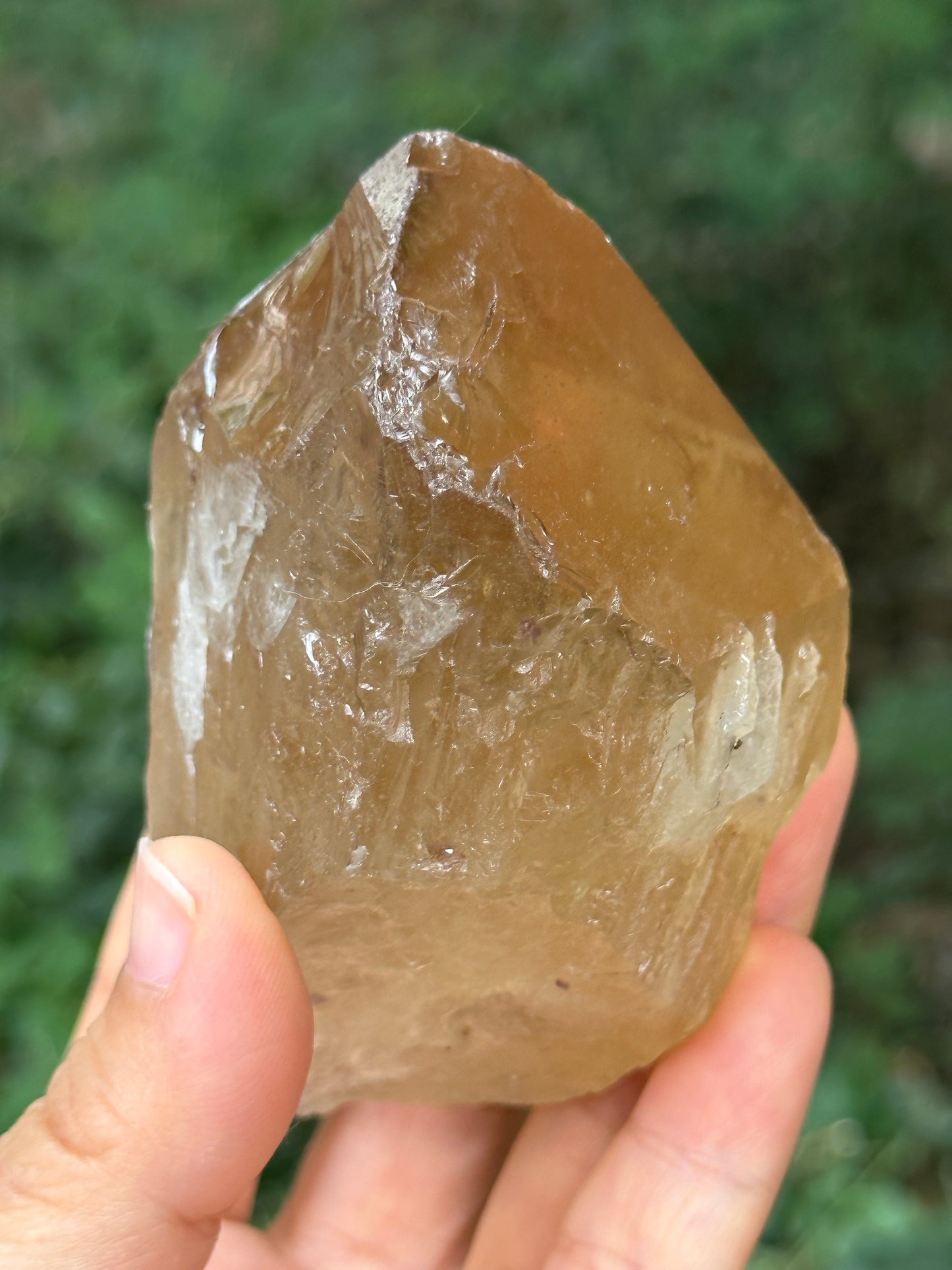 307 g Natural Citrine Record-keeper Quartz Crystal Point